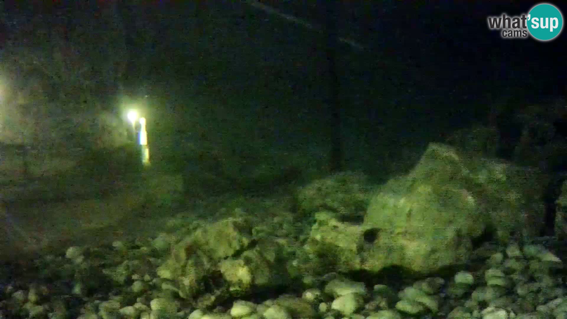 Webcam de l’aquarium marin extérieur de Rogoznica Croatie