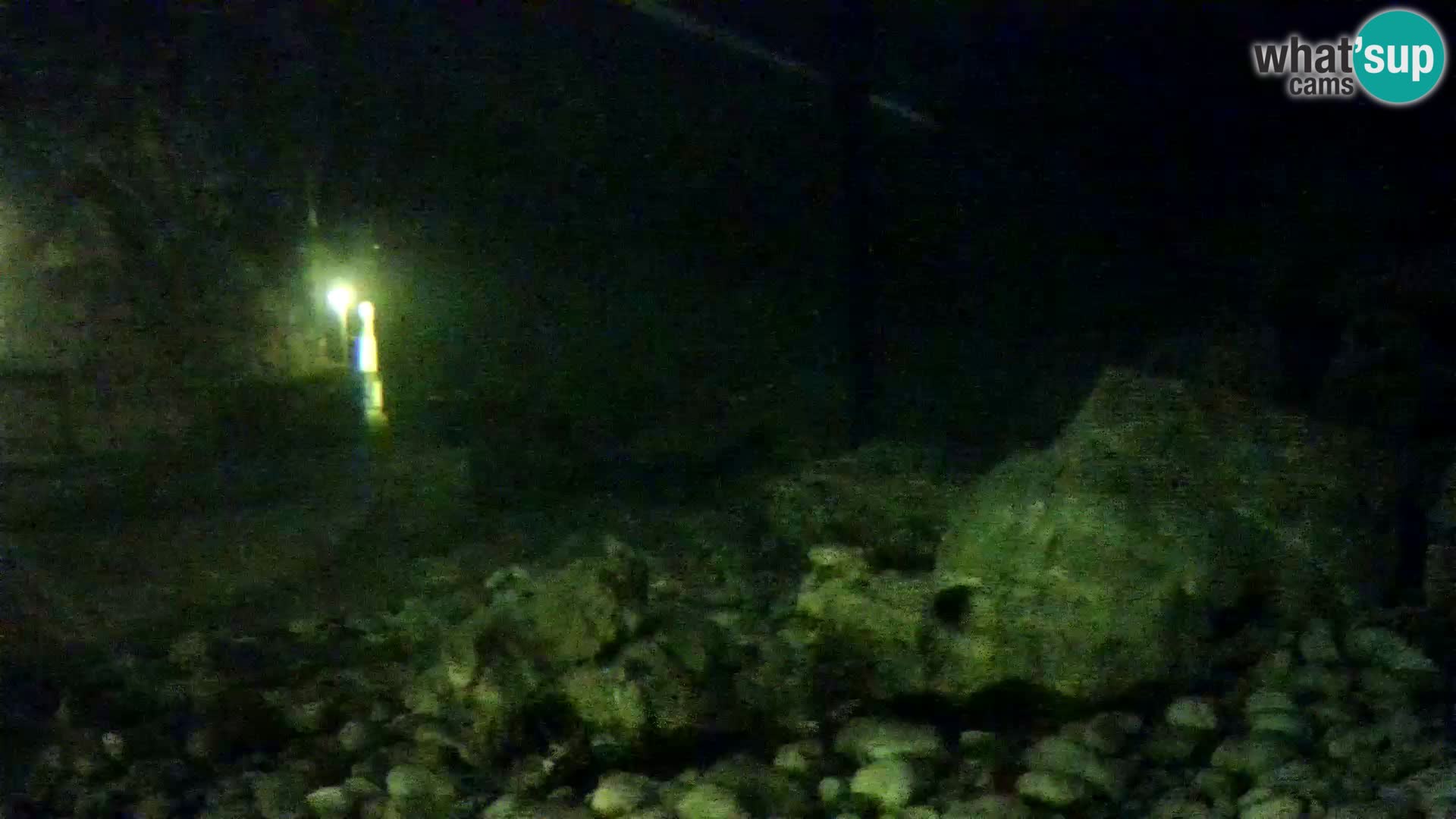 Aquario marino esterno –  Rogoznica livecam Croazia