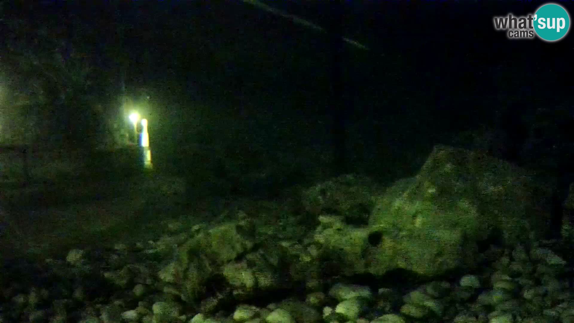 Zunanji morski akvarij Rogoznica spletna kamera Hrvaška