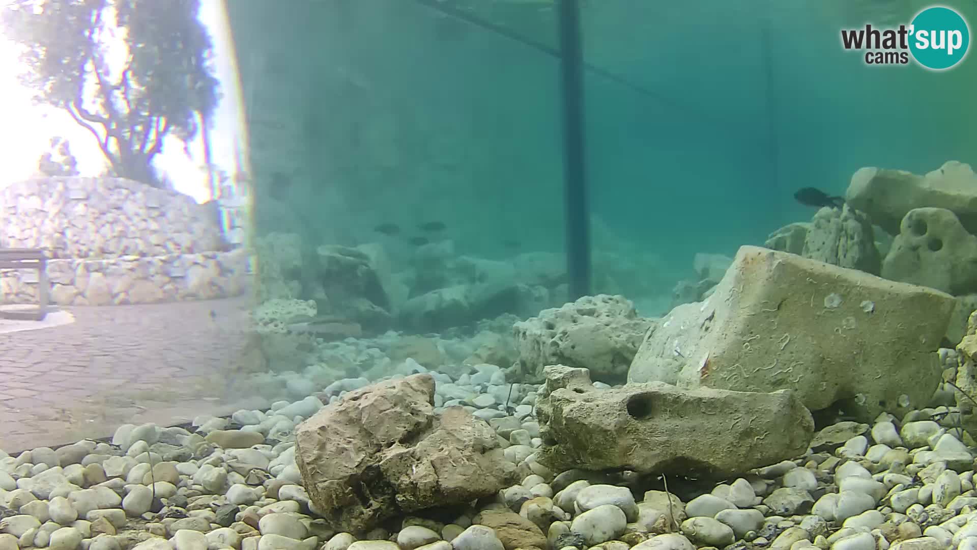 Marine Aquarium im Freien Rogoznica webcam Kroatien