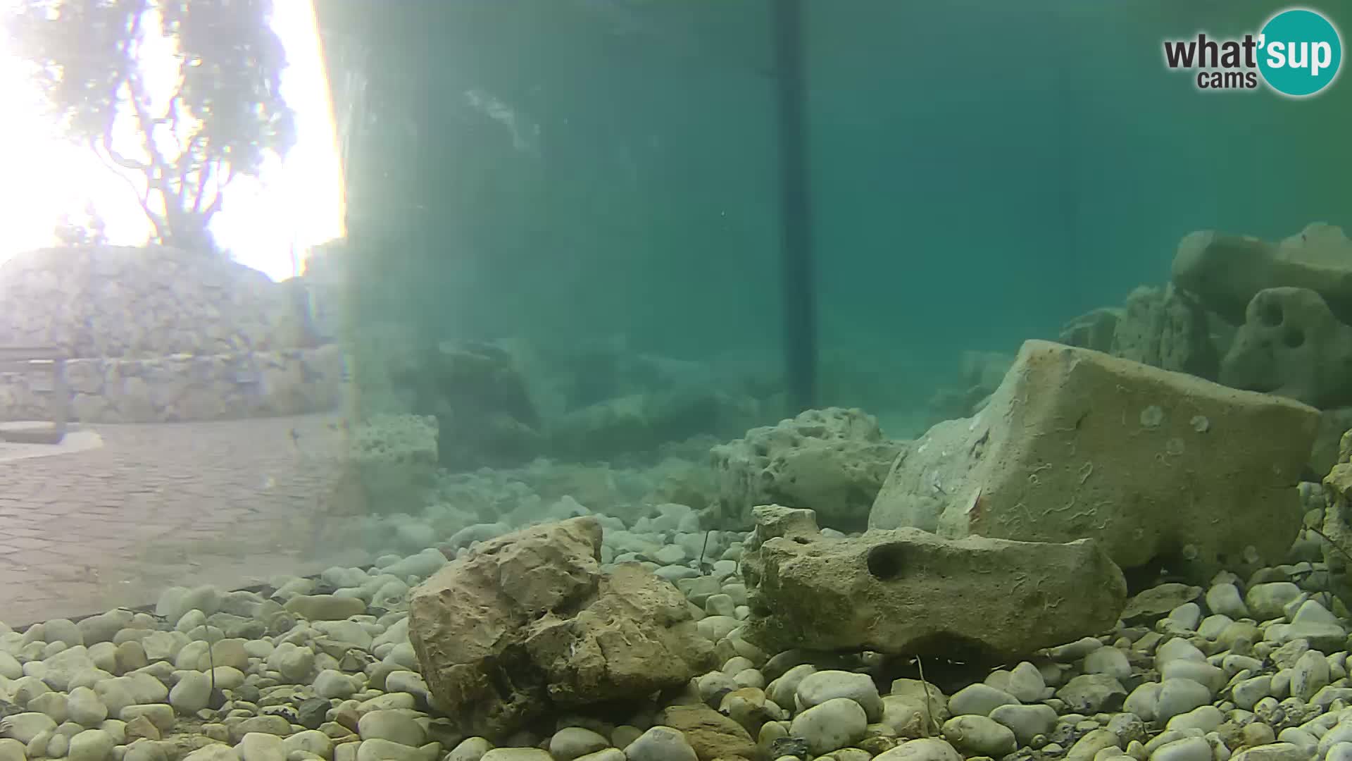 Webcam de l’aquarium marin extérieur de Rogoznica Croatie