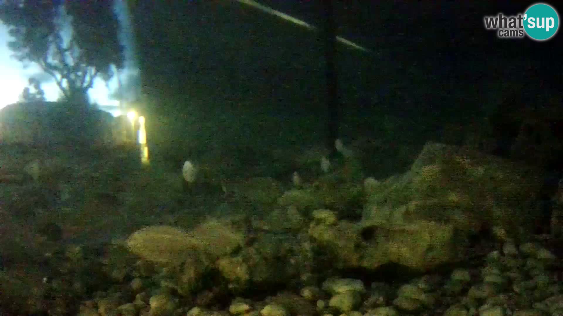 Zunanji morski akvarij Rogoznica spletna kamera Hrvaška