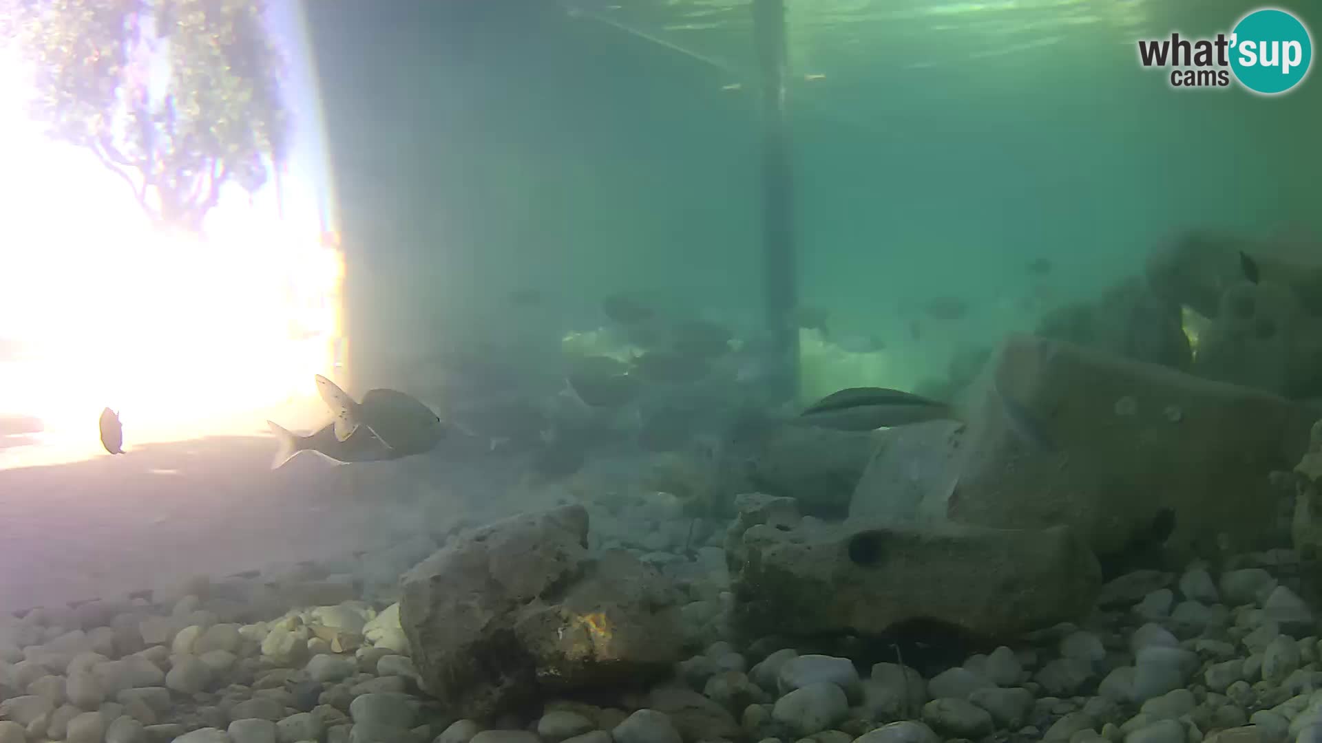 Marine Aquarium im Freien Rogoznica webcam Kroatien