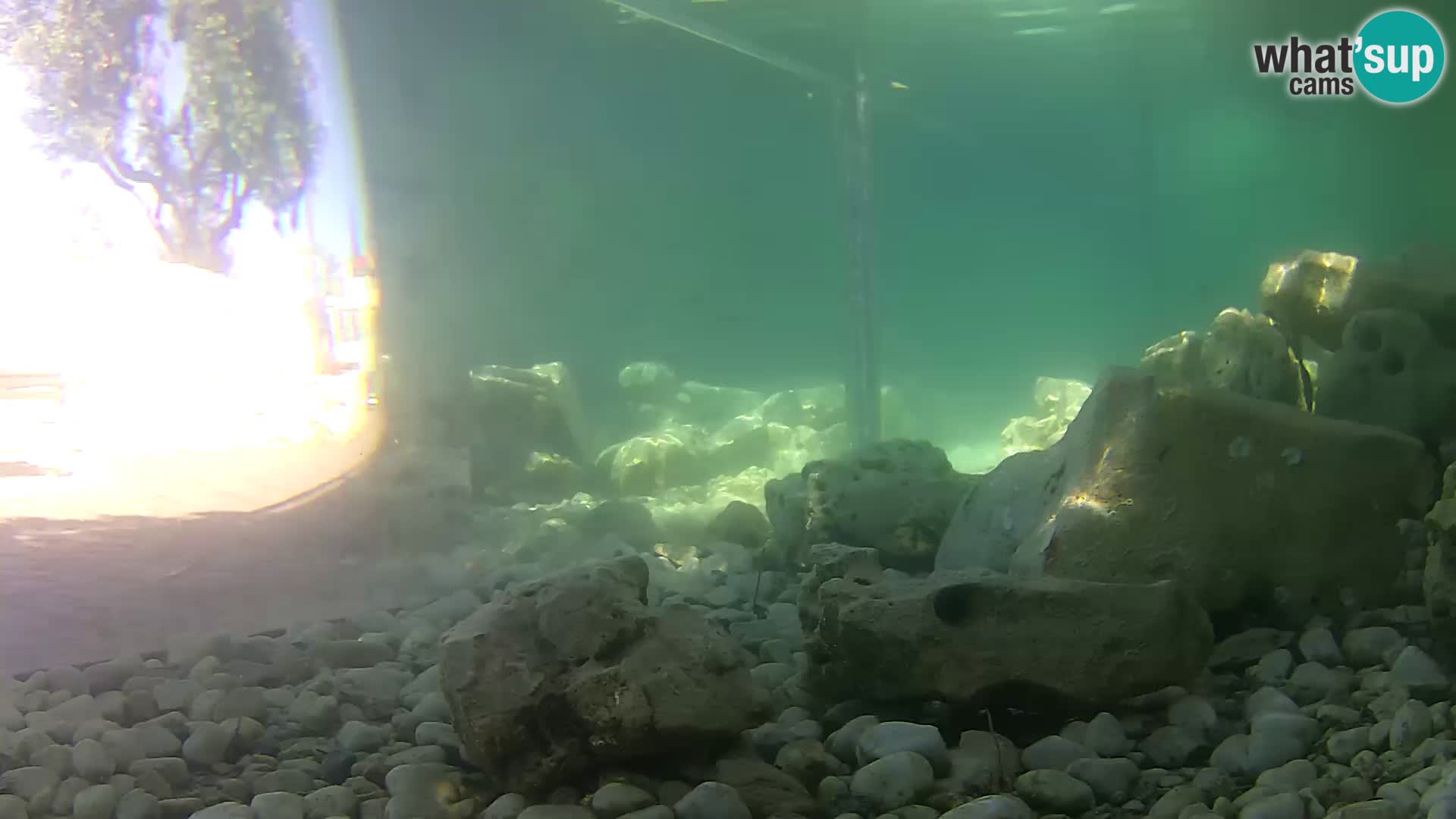 Webcam de l’aquarium marin extérieur de Rogoznica Croatie