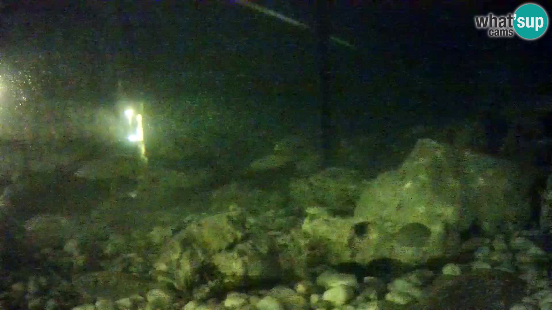 Webcam de l’aquarium marin extérieur de Rogoznica Croatie