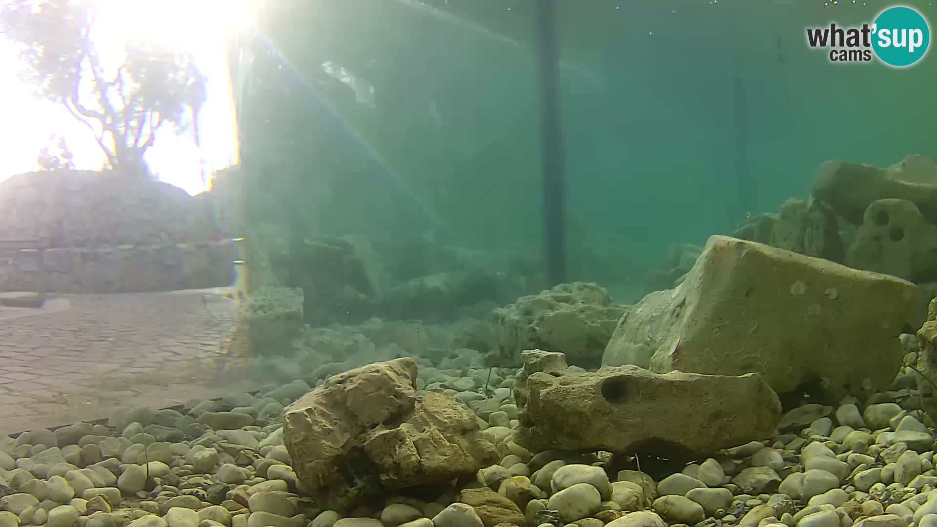 Outdoor Marine Aquarium Rogoznica webcam Croatia