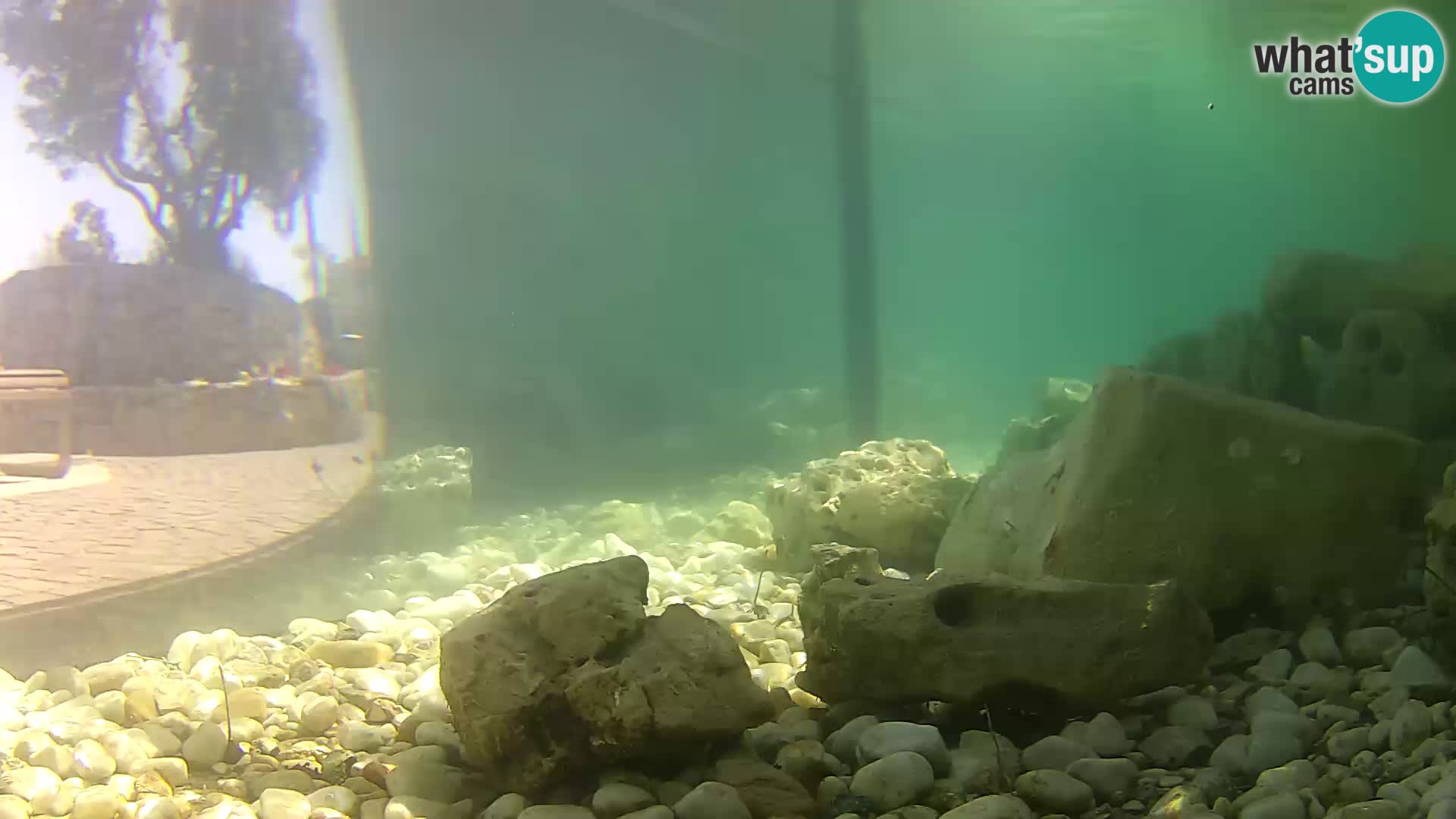 Outdoor Marine Aquarium Rogoznica webcam Croatia