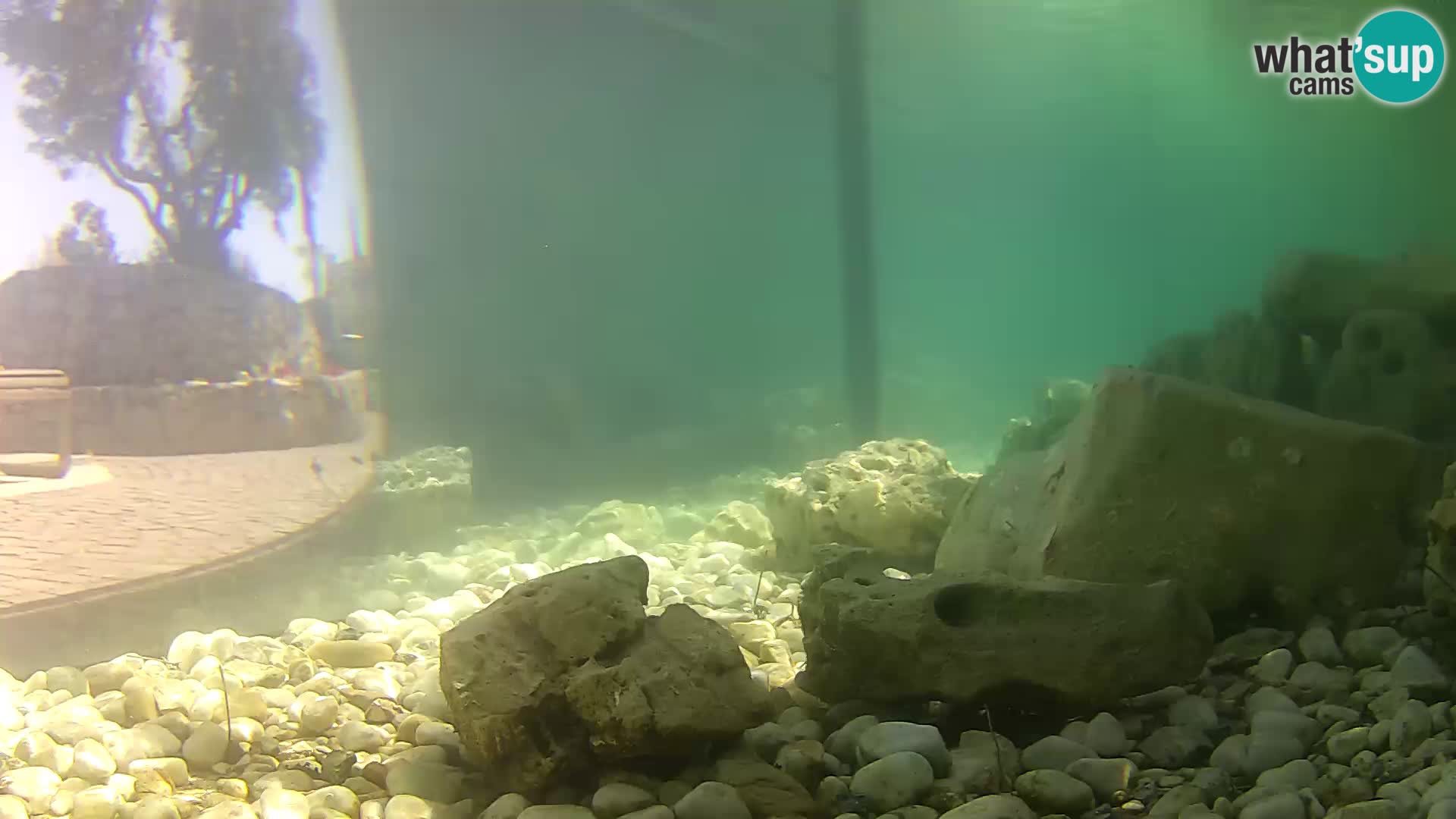 Webcam de l’aquarium marin extérieur de Rogoznica Croatie