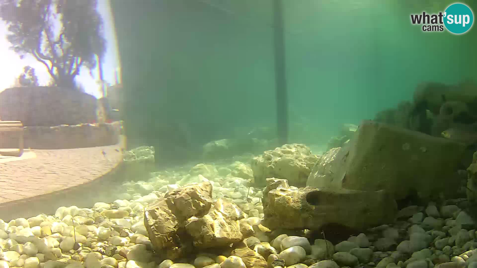 Outdoor Marine Aquarium Rogoznica webcam Croatia
