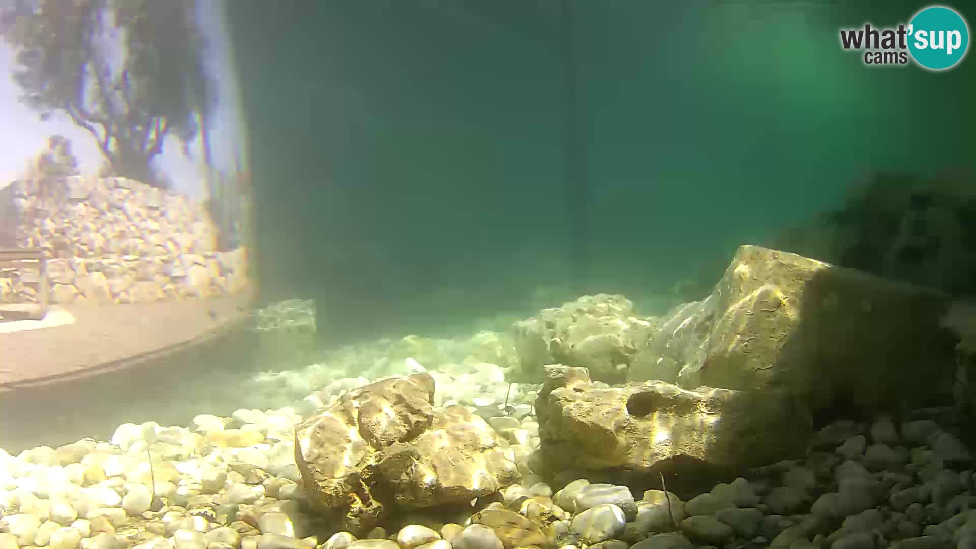 Webcam de l’aquarium marin extérieur de Rogoznica Croatie