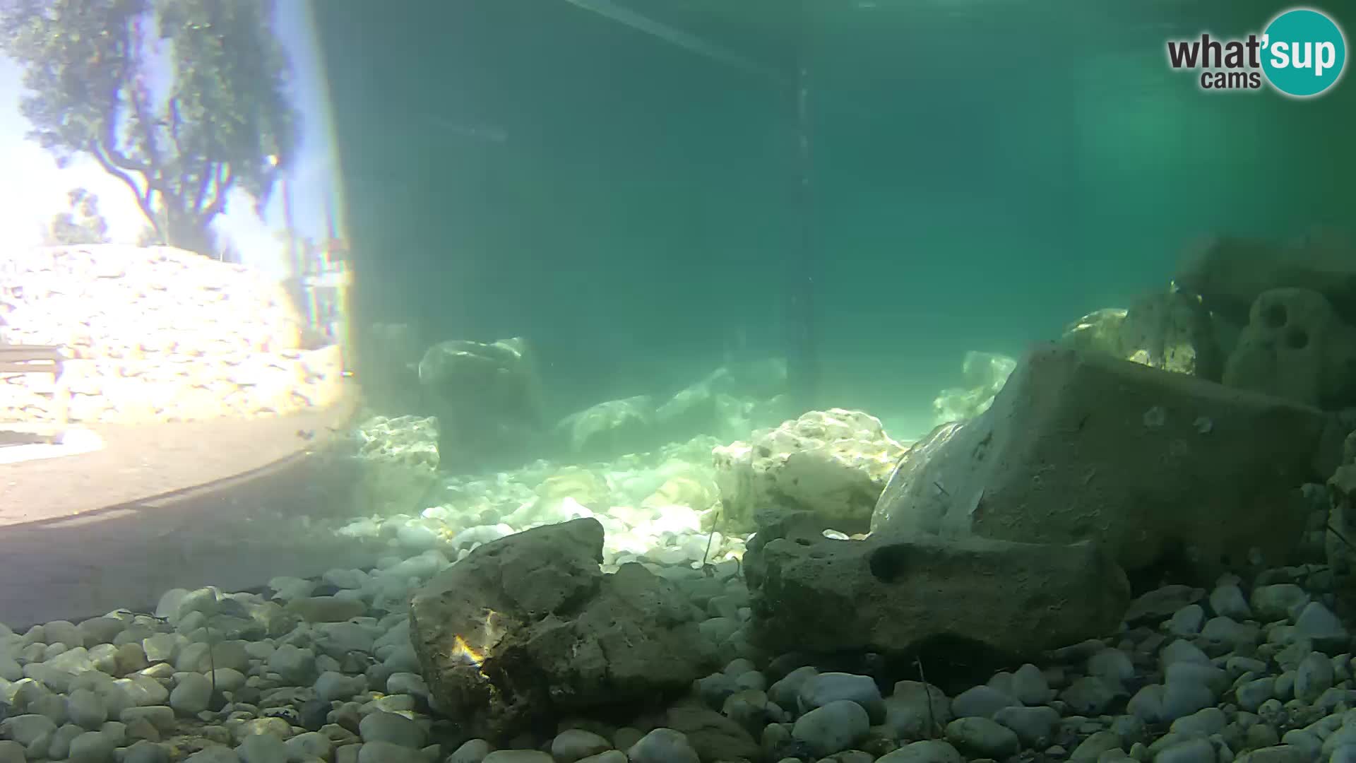 Outdoor Marine Aquarium Rogoznica webcam Croatia