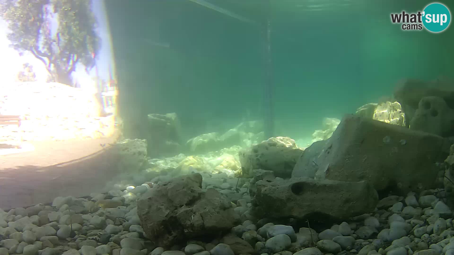 Marine Aquarium im Freien Rogoznica webcam Kroatien