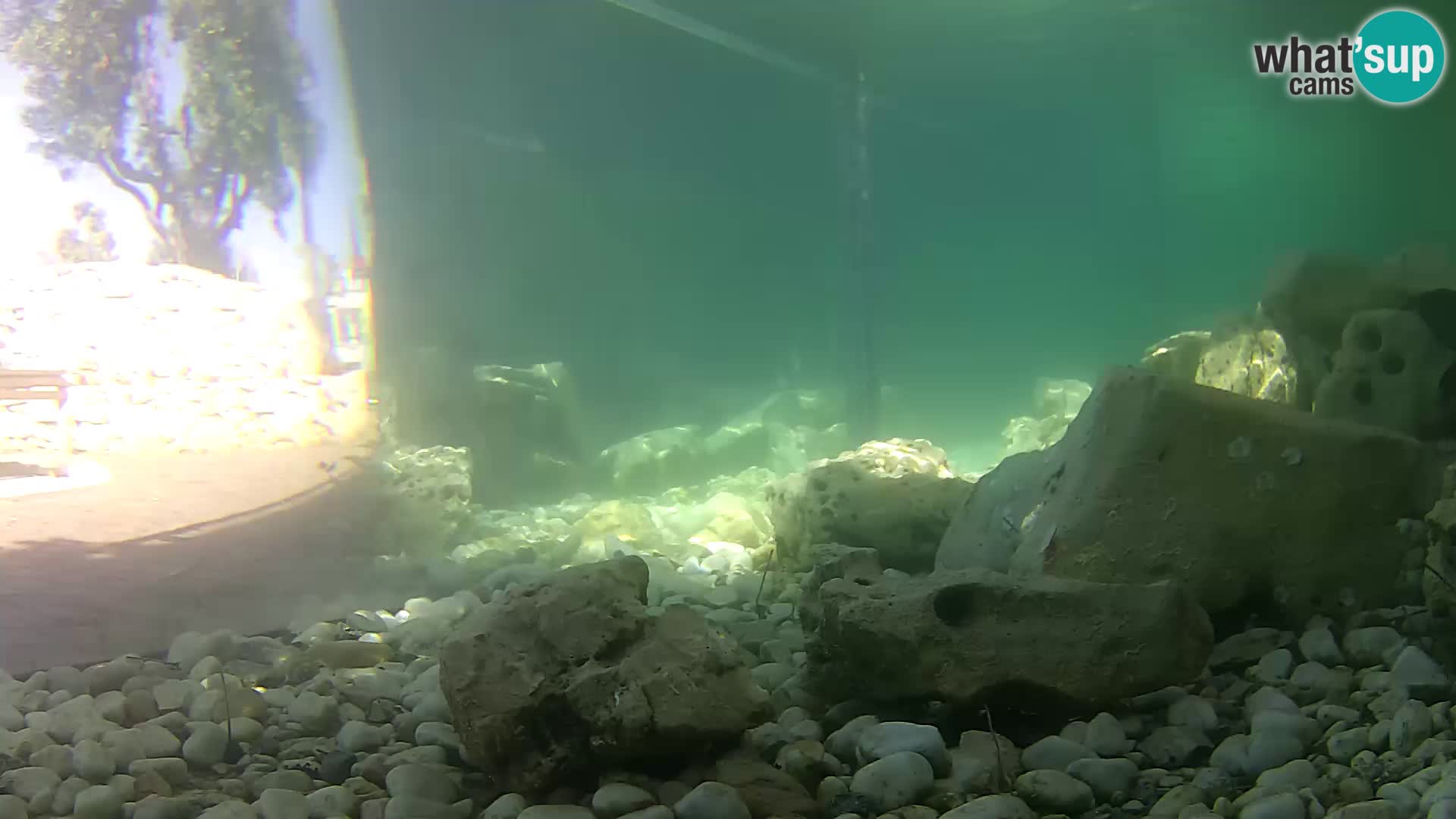Marine Aquarium im Freien Rogoznica webcam Kroatien