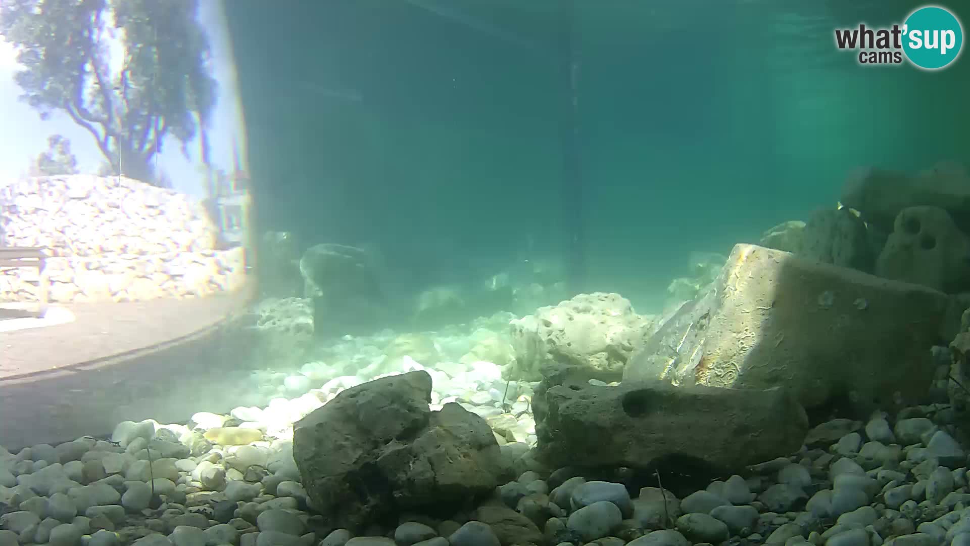 Marine Aquarium im Freien Rogoznica webcam Kroatien
