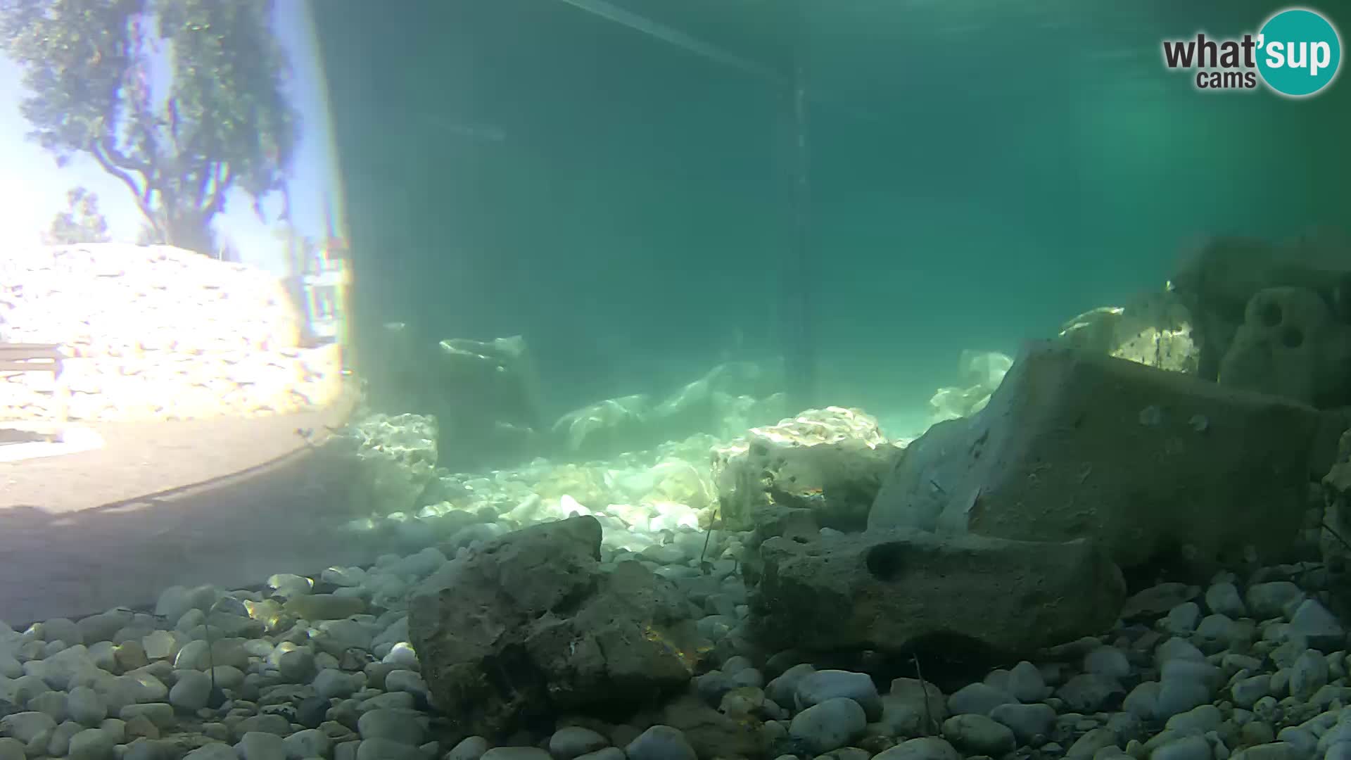Outdoor Marine Aquarium Rogoznica webcam Croatia