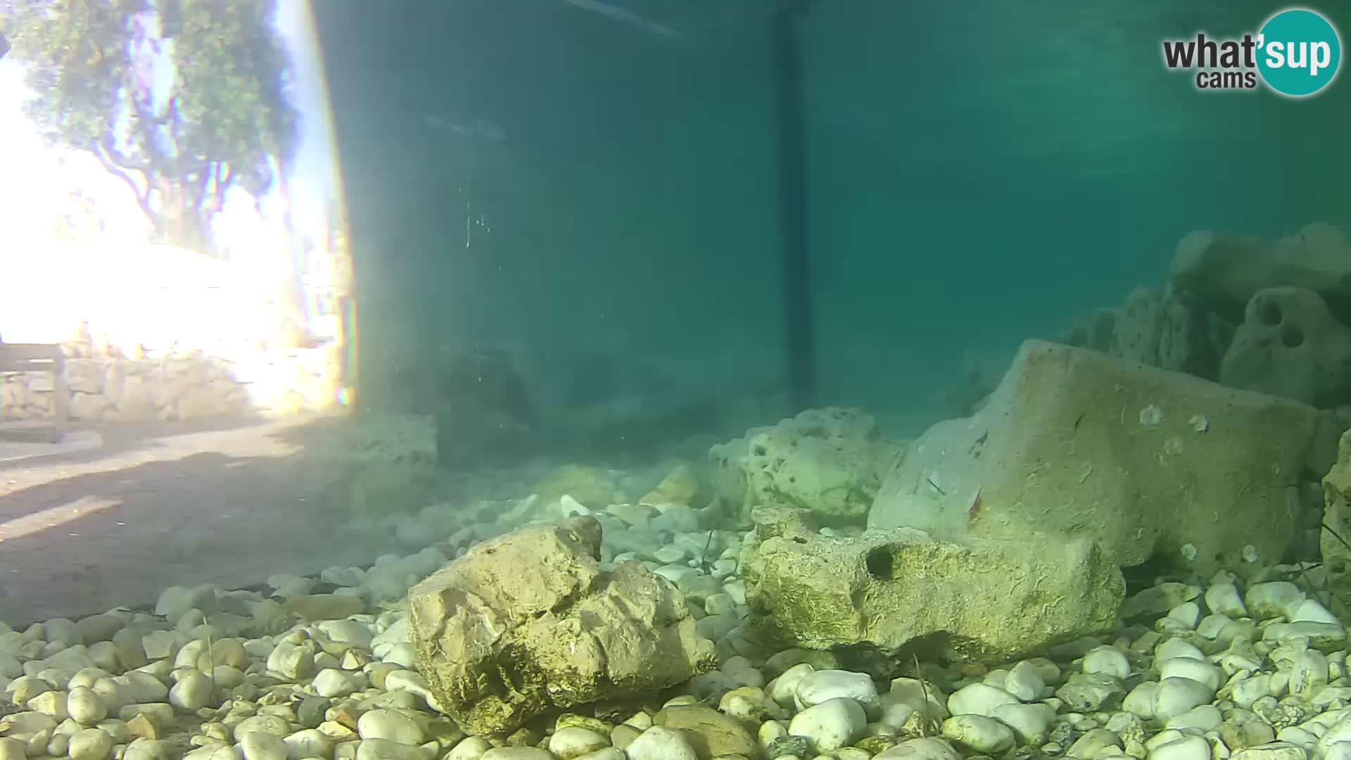 Outdoor Marine Aquarium Rogoznica webcam Croatia