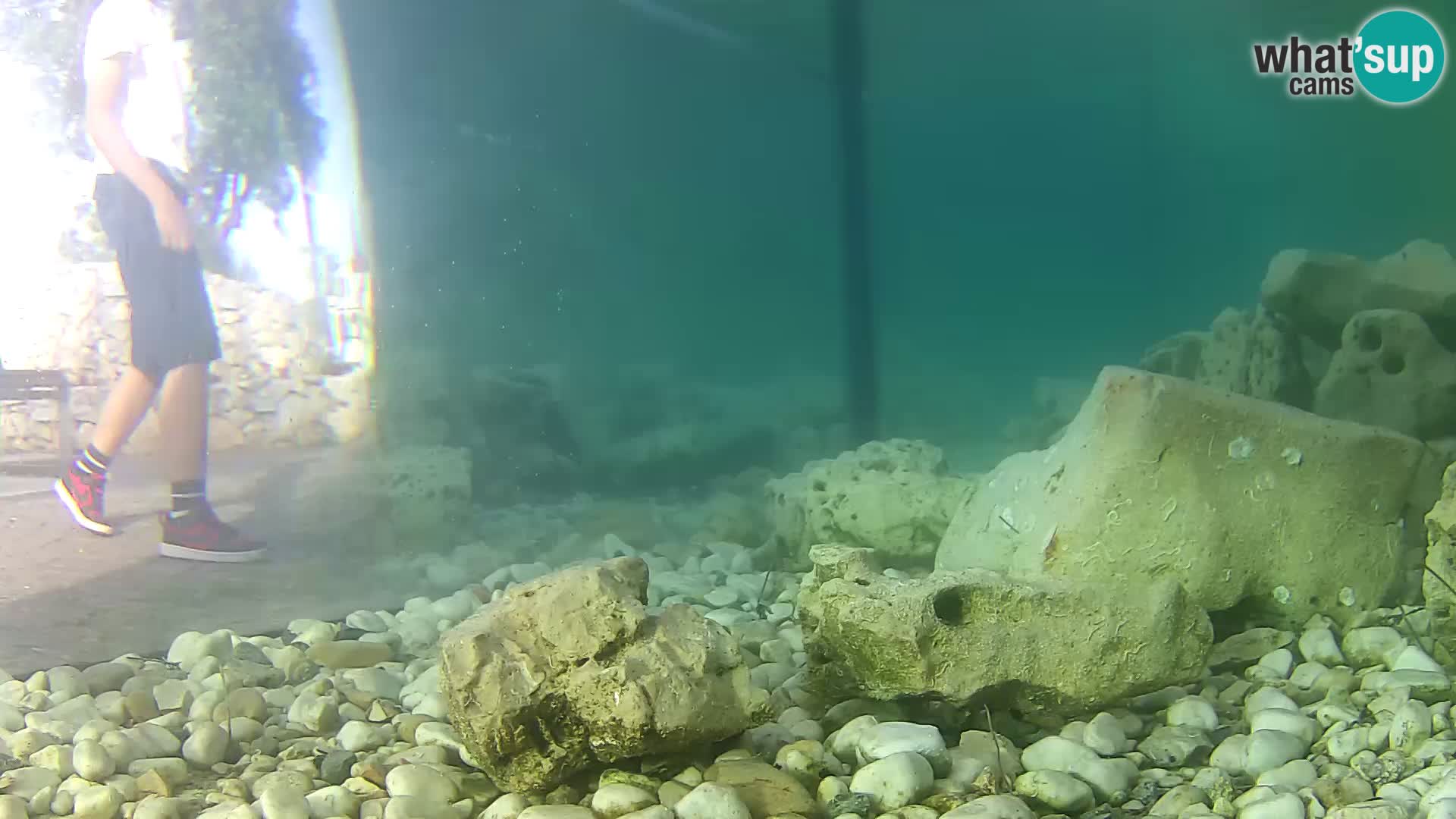 Marine Aquarium im Freien Rogoznica webcam Kroatien