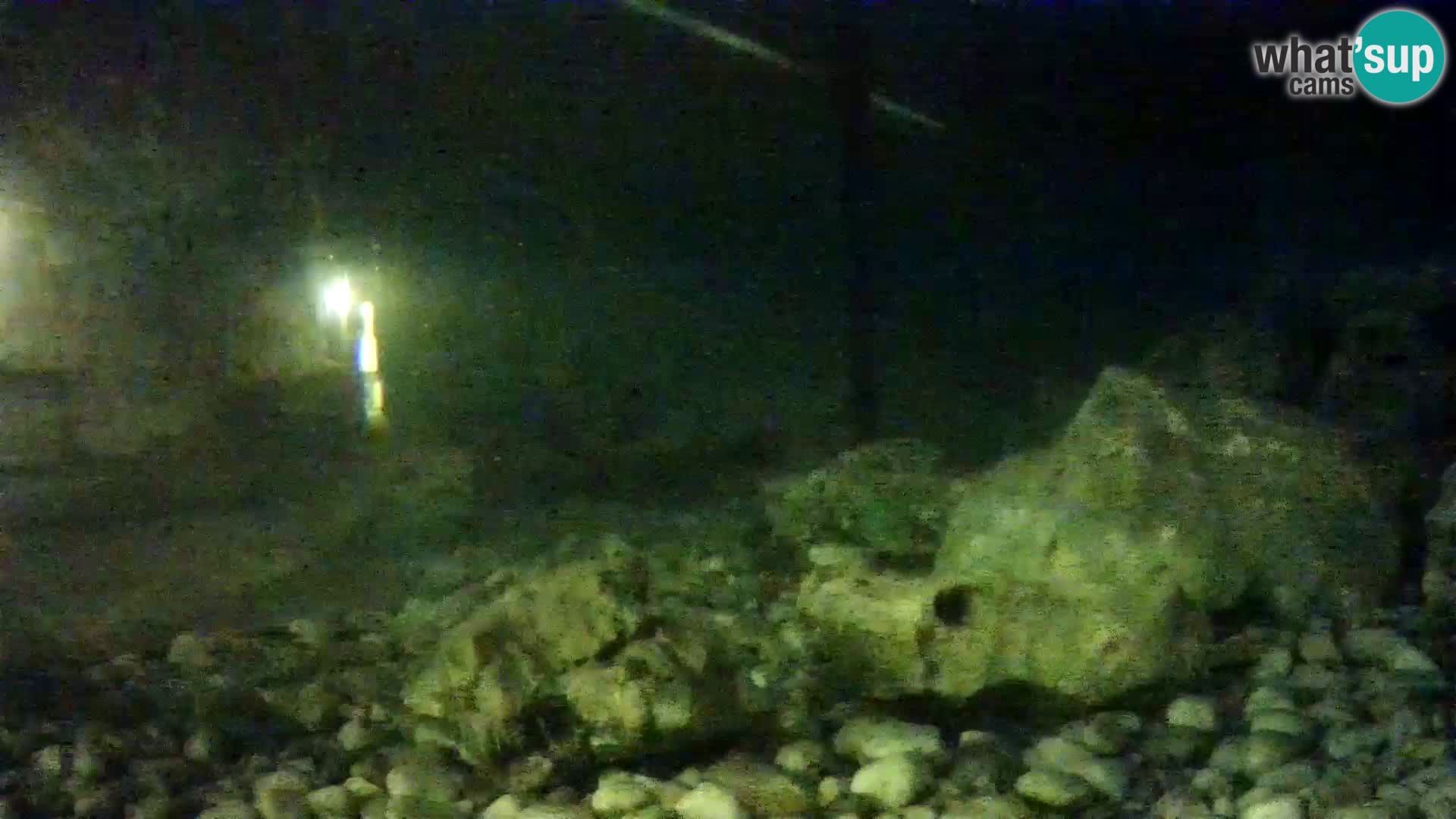 Zunanji morski akvarij Rogoznica spletna kamera Hrvaška