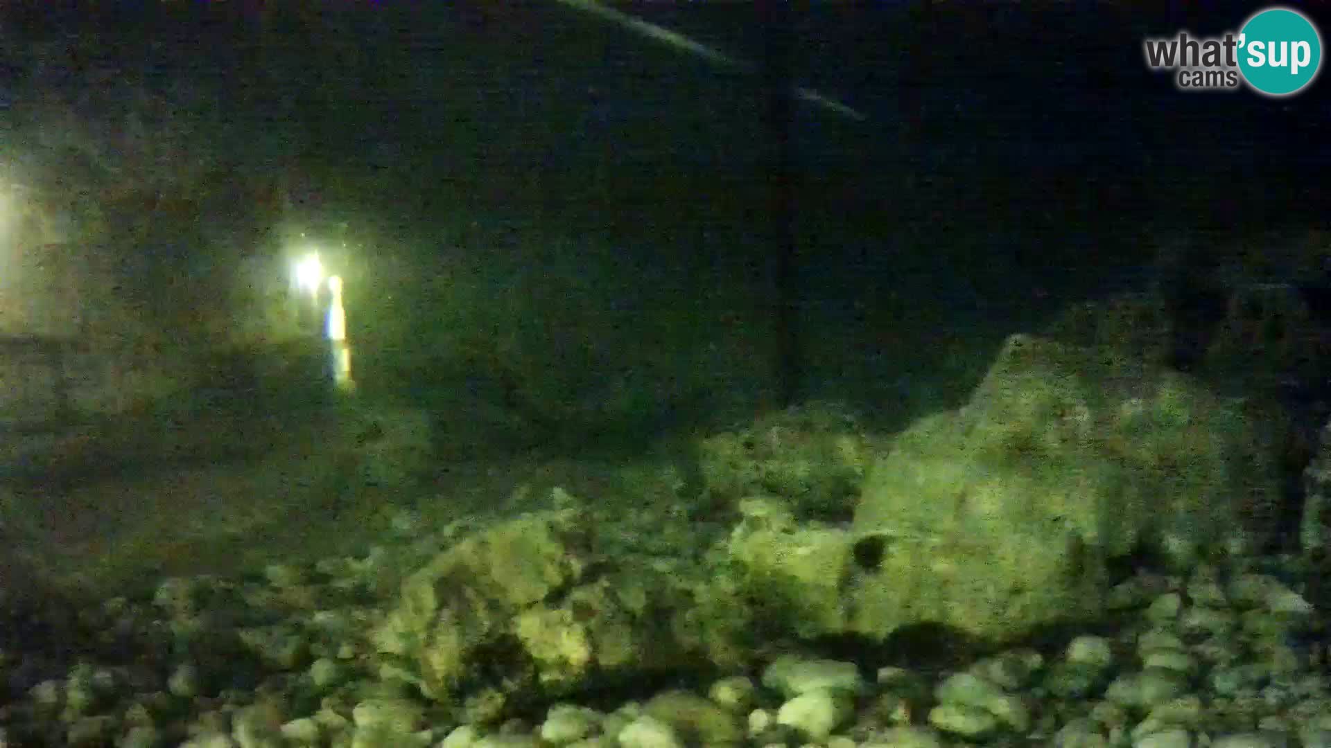 Aquario marino esterno –  Rogoznica livecam Croazia