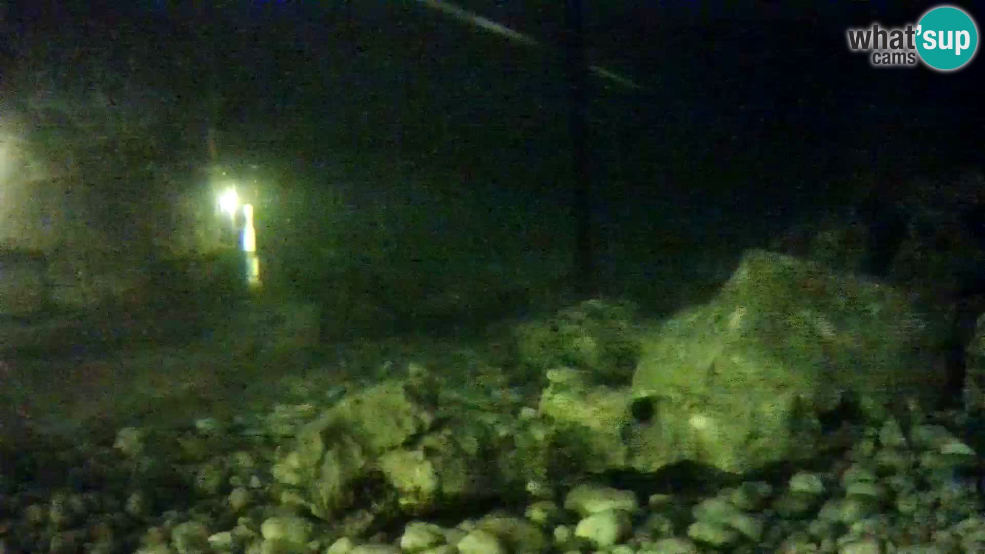 Webcam de l’aquarium marin extérieur de Rogoznica Croatie
