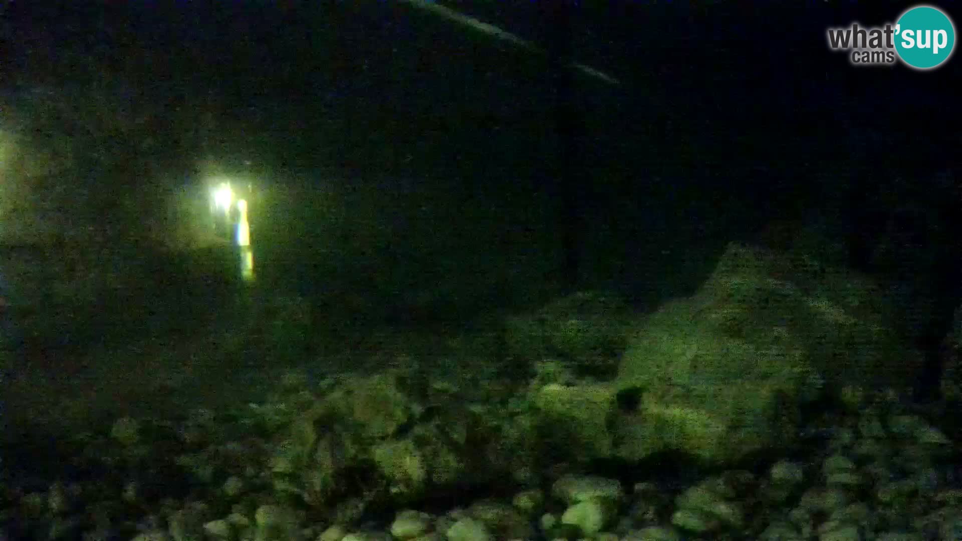 Aquario marino esterno –  Rogoznica livecam Croazia