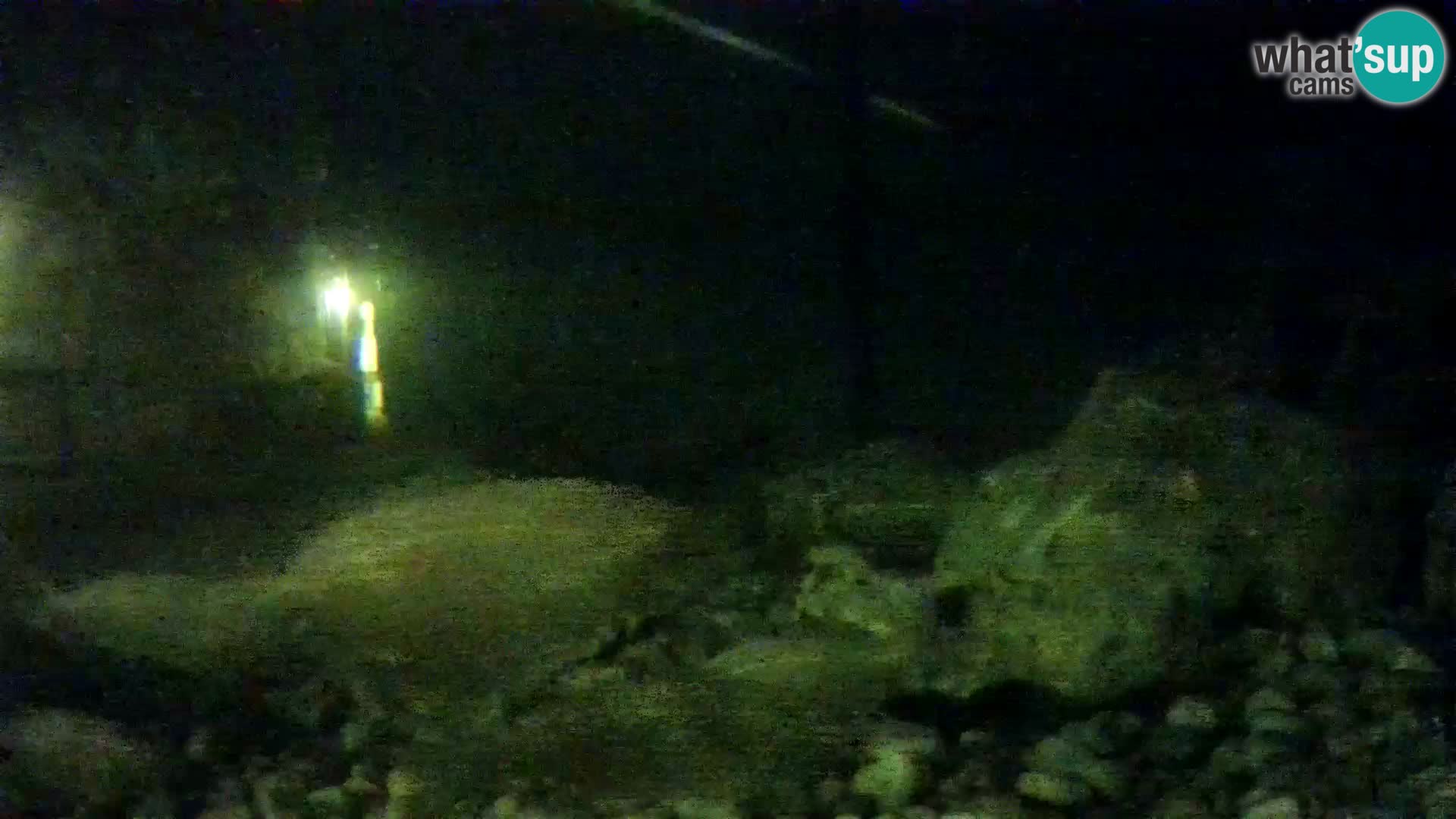 Aquario marino esterno –  Rogoznica livecam Croazia