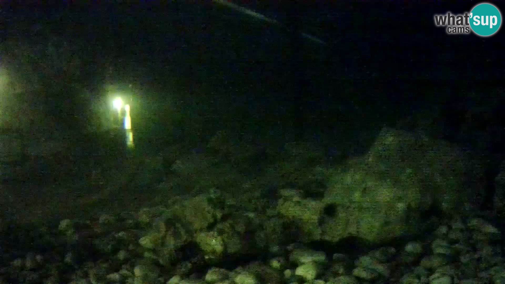 Aquario marino esterno –  Rogoznica livecam Croazia