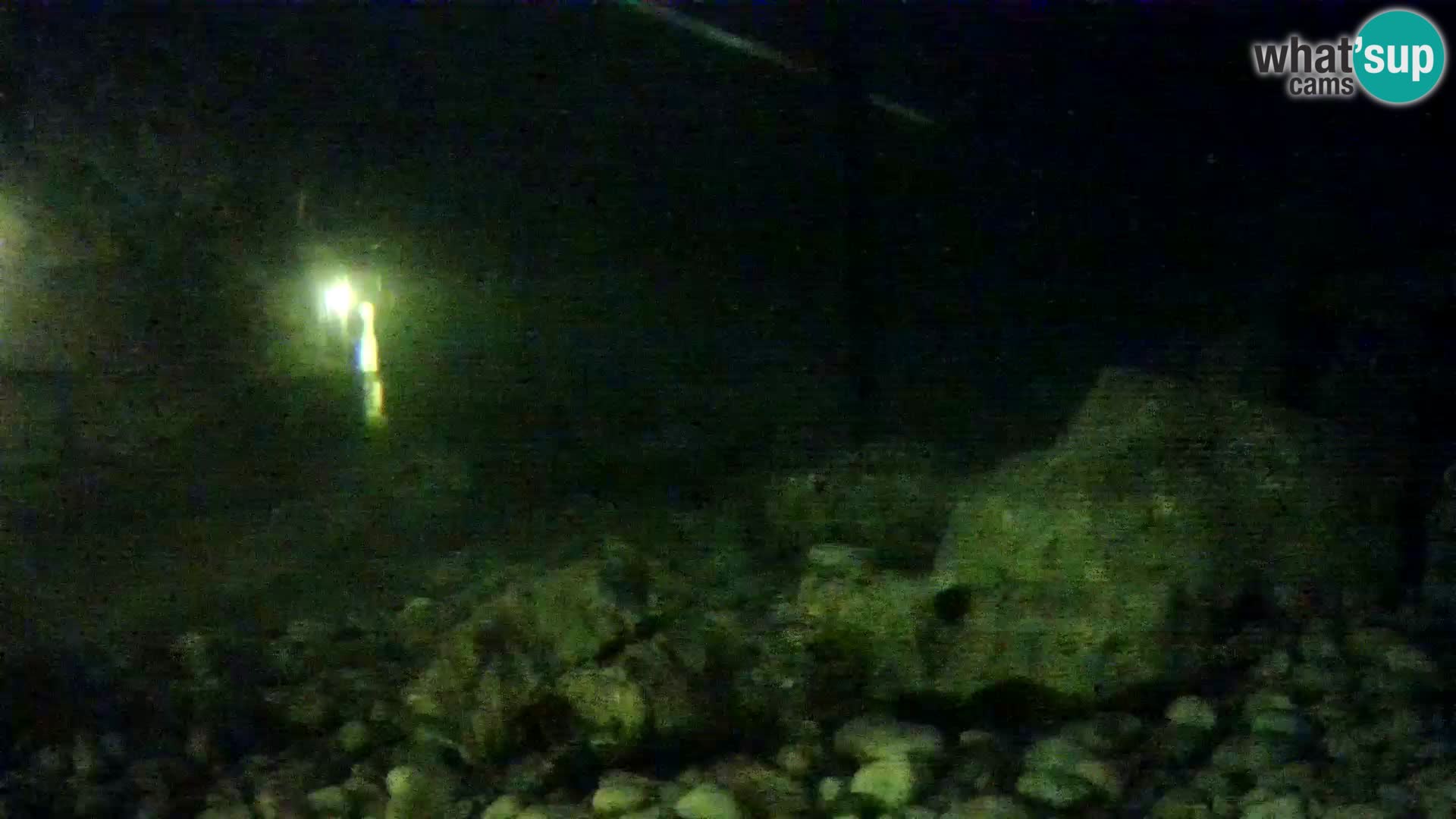 Aquario marino esterno –  Rogoznica livecam Croazia
