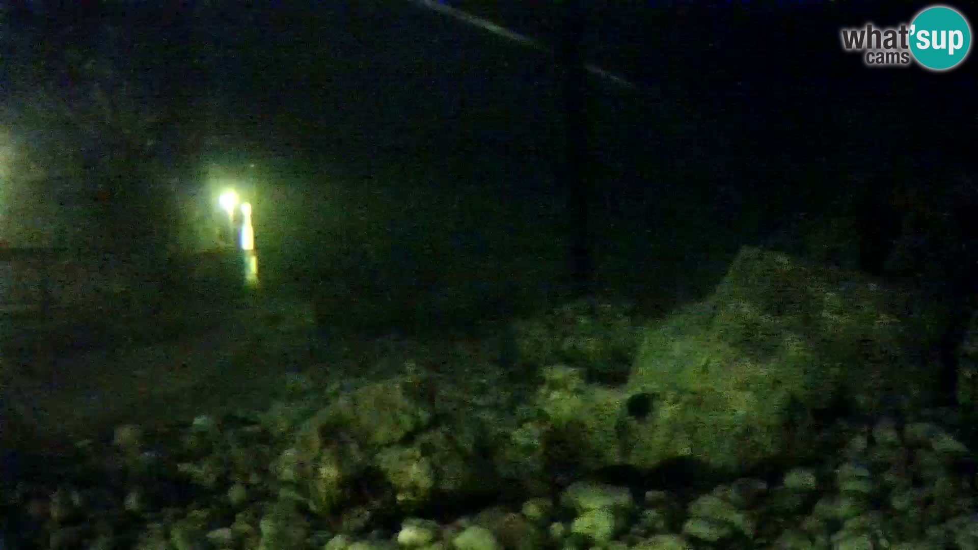 Aquario marino esterno –  Rogoznica livecam Croazia