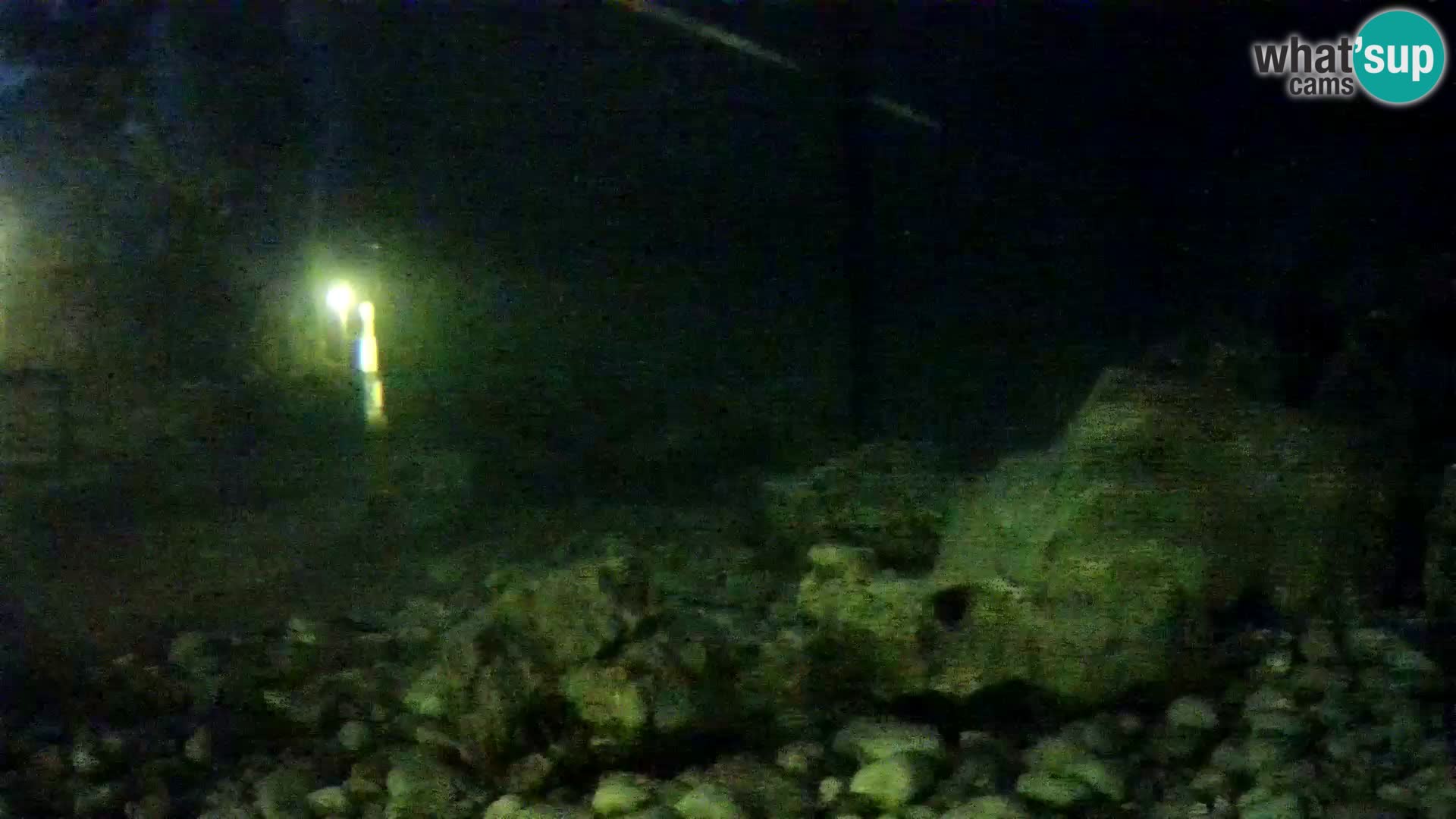 Aquario marino esterno –  Rogoznica livecam Croazia