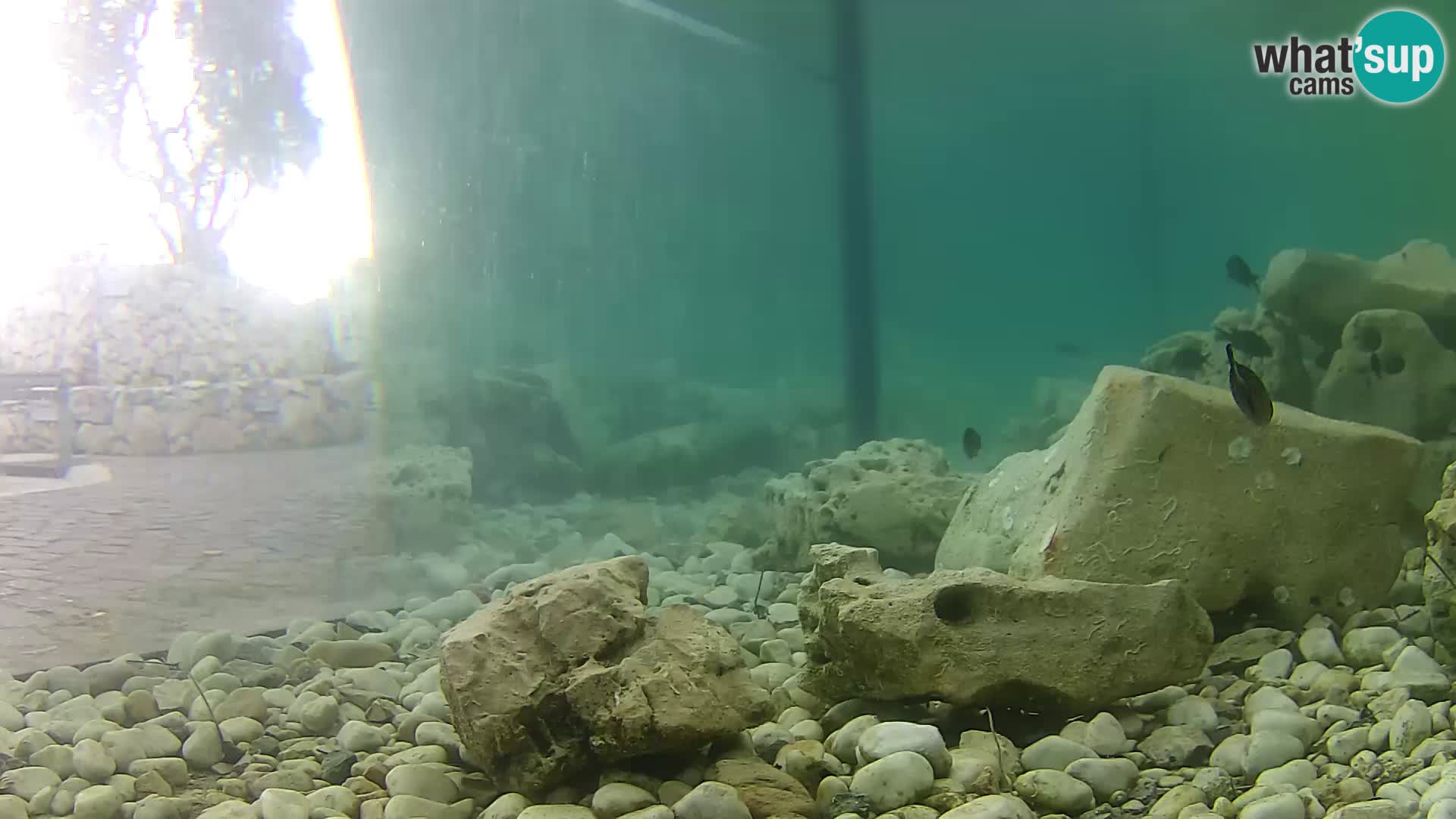 Marine Aquarium im Freien Rogoznica webcam Kroatien