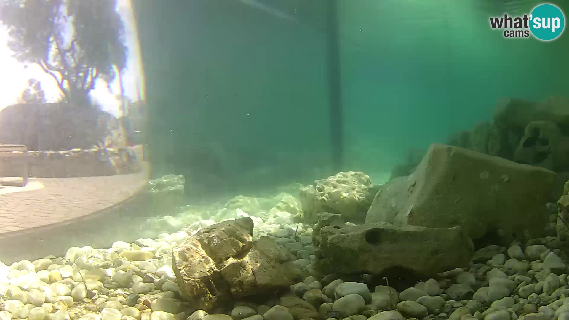 Webcam de l’aquarium marin extérieur de Rogoznica Croatie