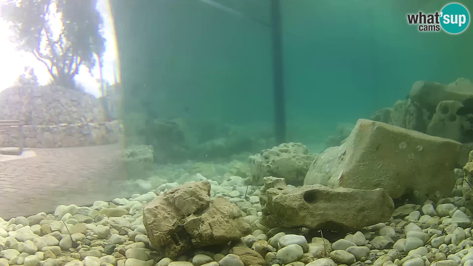 Marine Aquarium im Freien Rogoznica webcam Kroatien