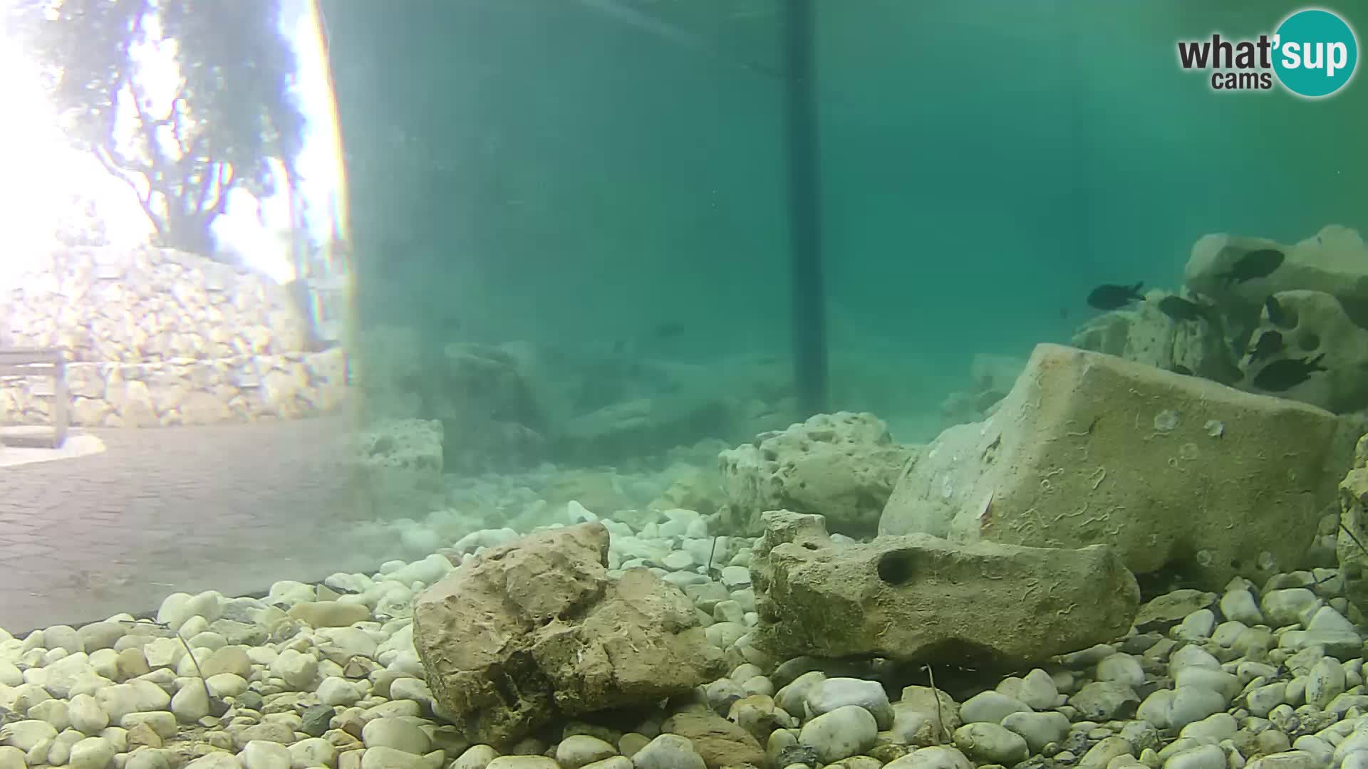 Outdoor Marine Aquarium Rogoznica webcam Croatia