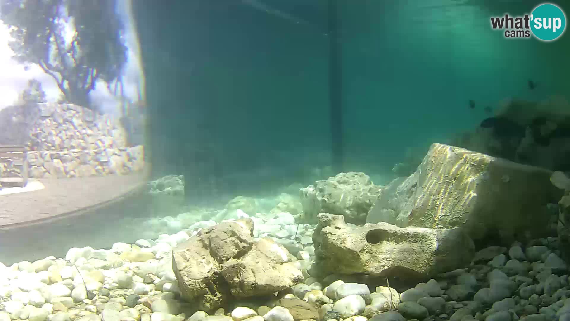 Marine Aquarium im Freien Rogoznica webcam Kroatien