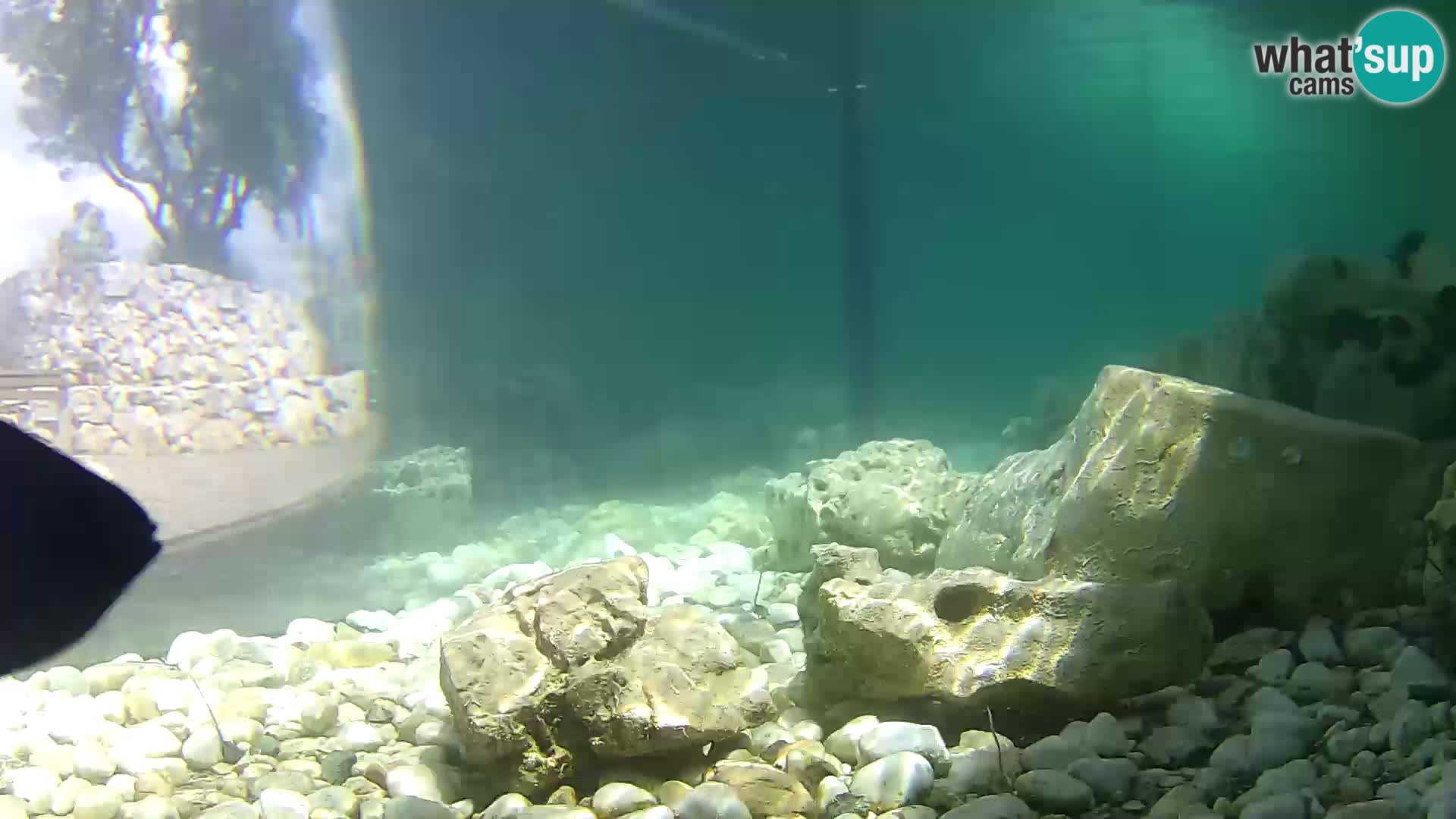 Marine Aquarium im Freien Rogoznica webcam Kroatien