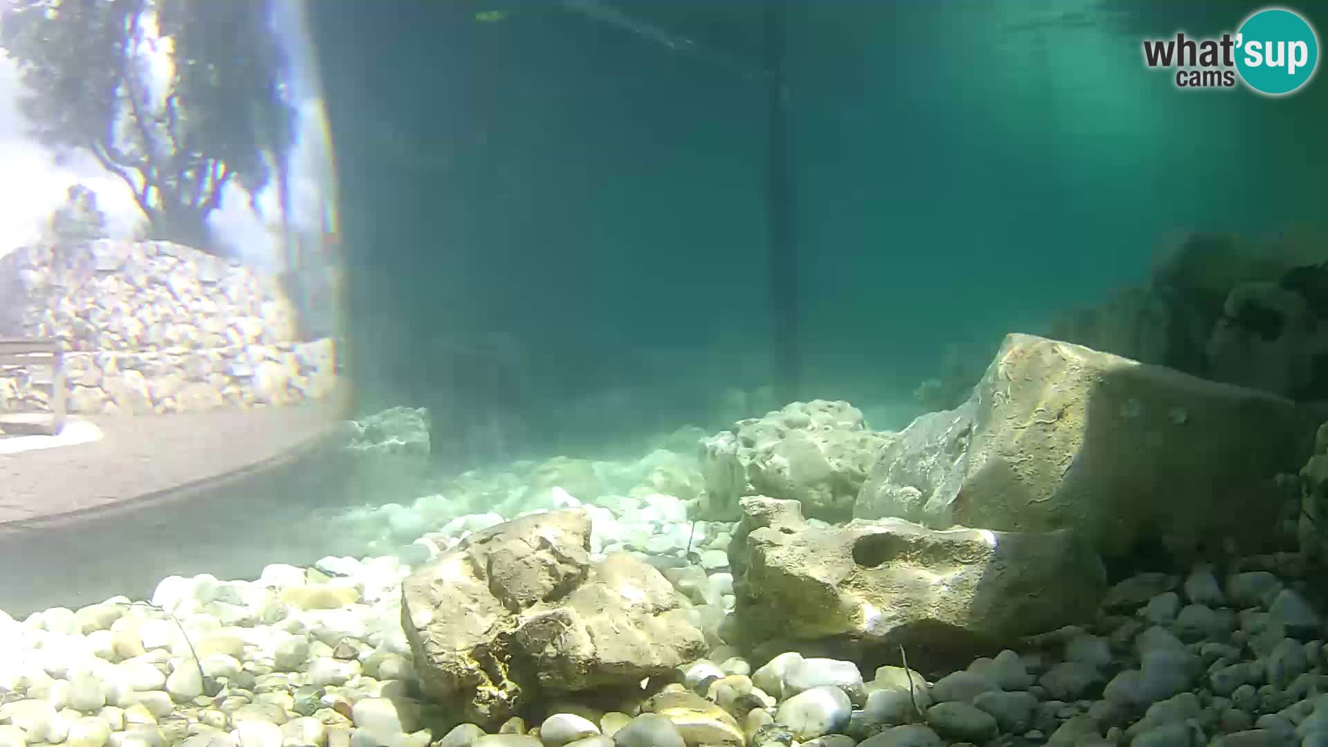 Webcam de l’aquarium marin extérieur de Rogoznica Croatie