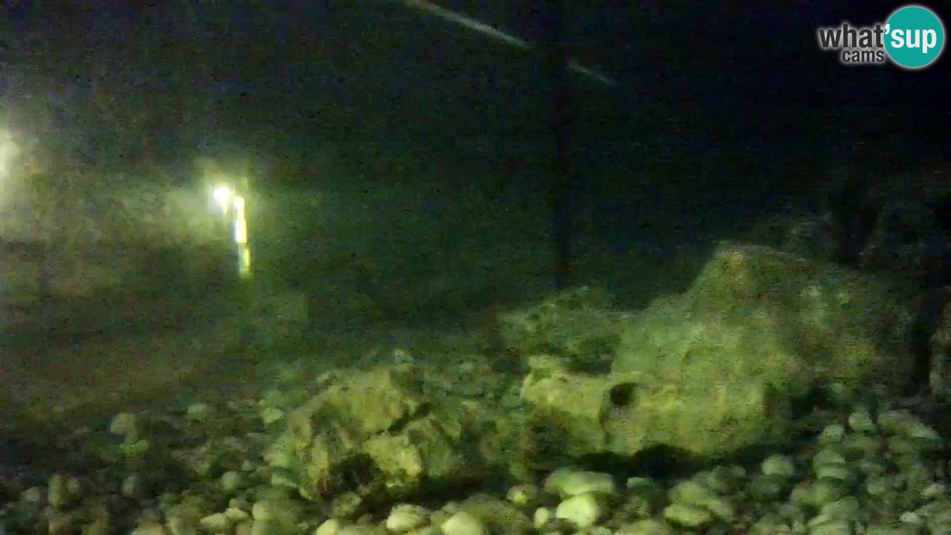 Outdoor Marine Aquarium Rogoznica webcam Croatia