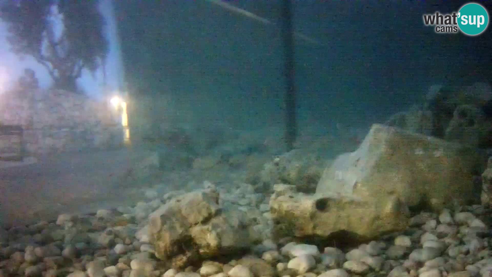 Acuario marino al aire libre Rogoznica webcam Croacia