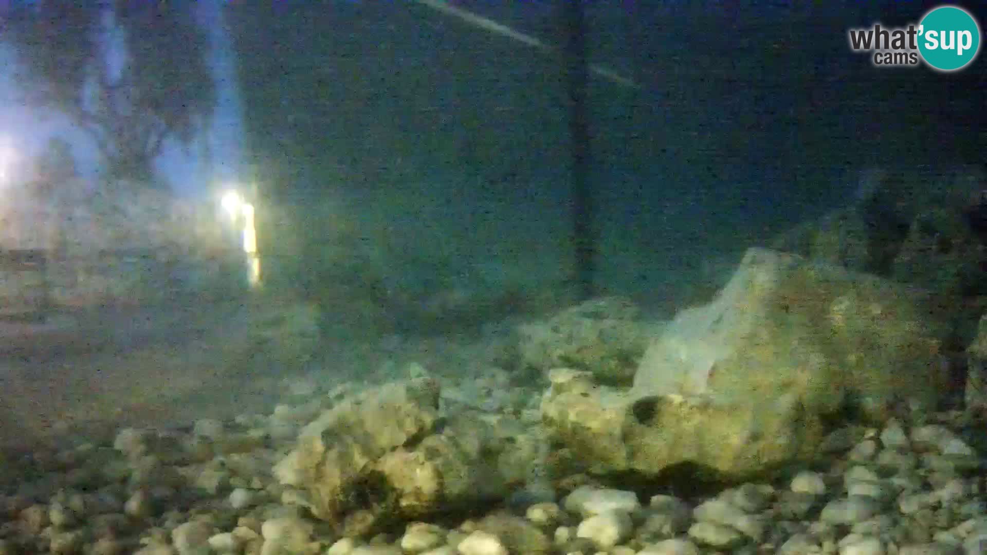 Marine Aquarium im Freien Rogoznica webcam Kroatien