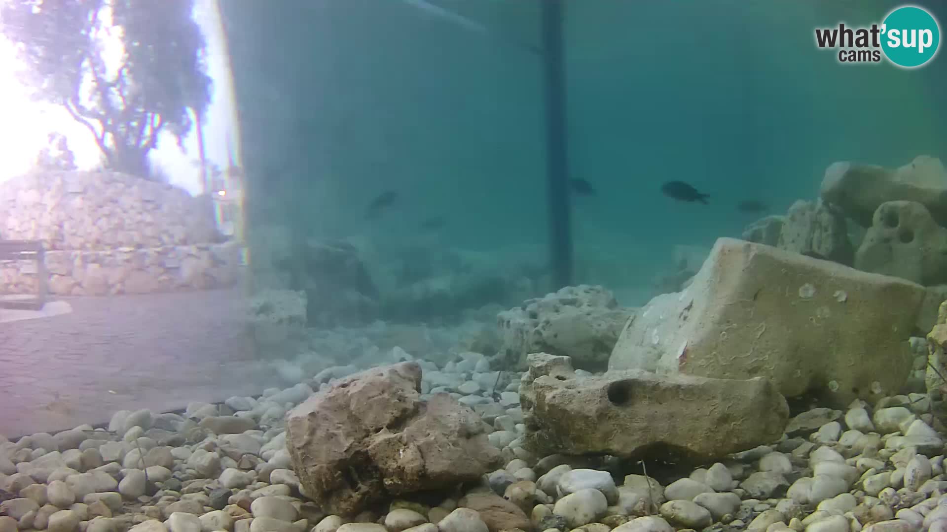 Marine Aquarium im Freien Rogoznica webcam Kroatien