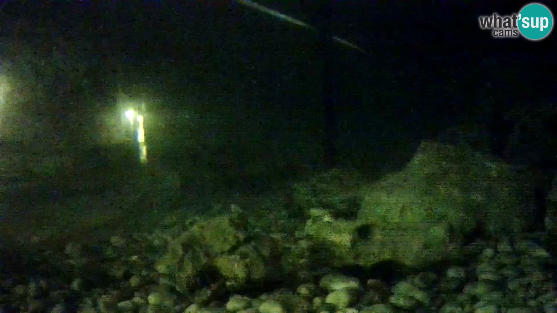 Acuario marino al aire libre Rogoznica webcam Croacia