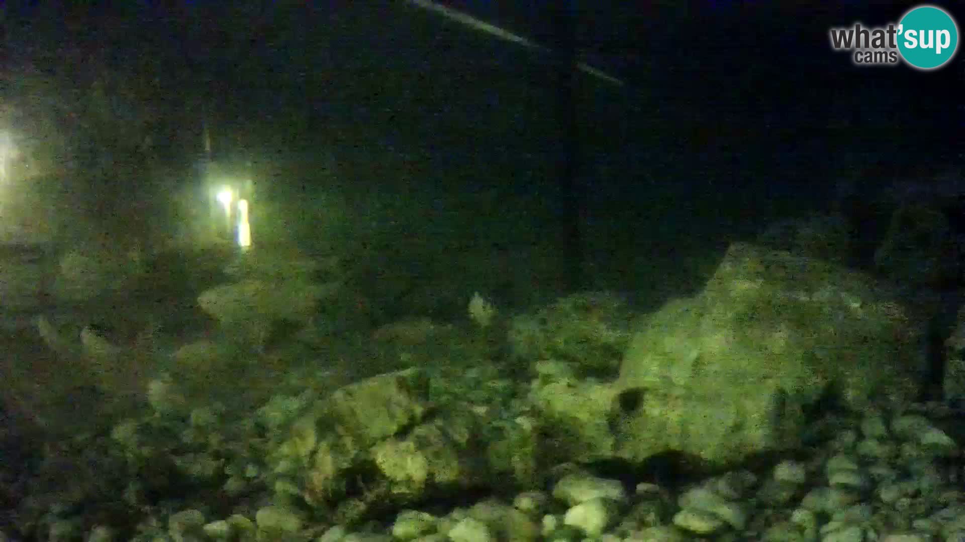 Aquario marino esterno –  Rogoznica livecam Croazia