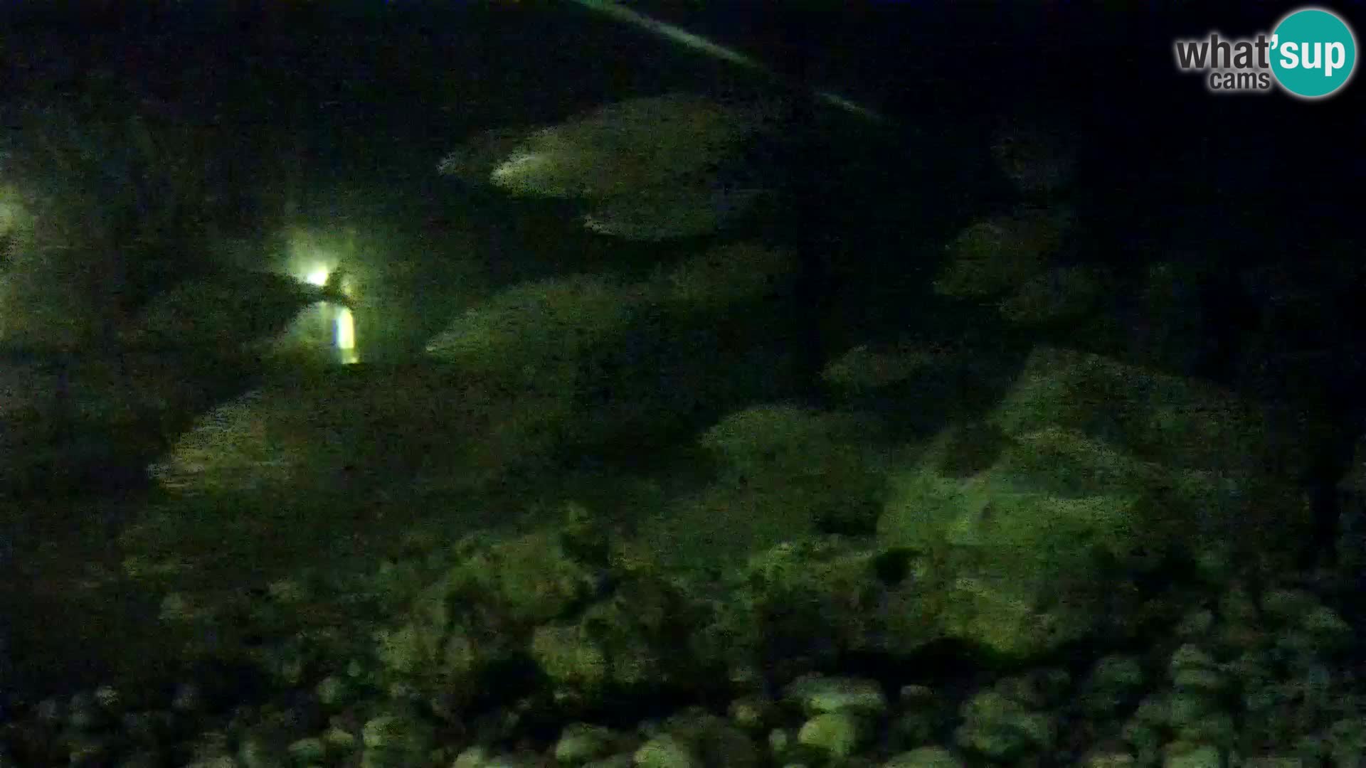 Aquario marino esterno –  Rogoznica livecam Croazia