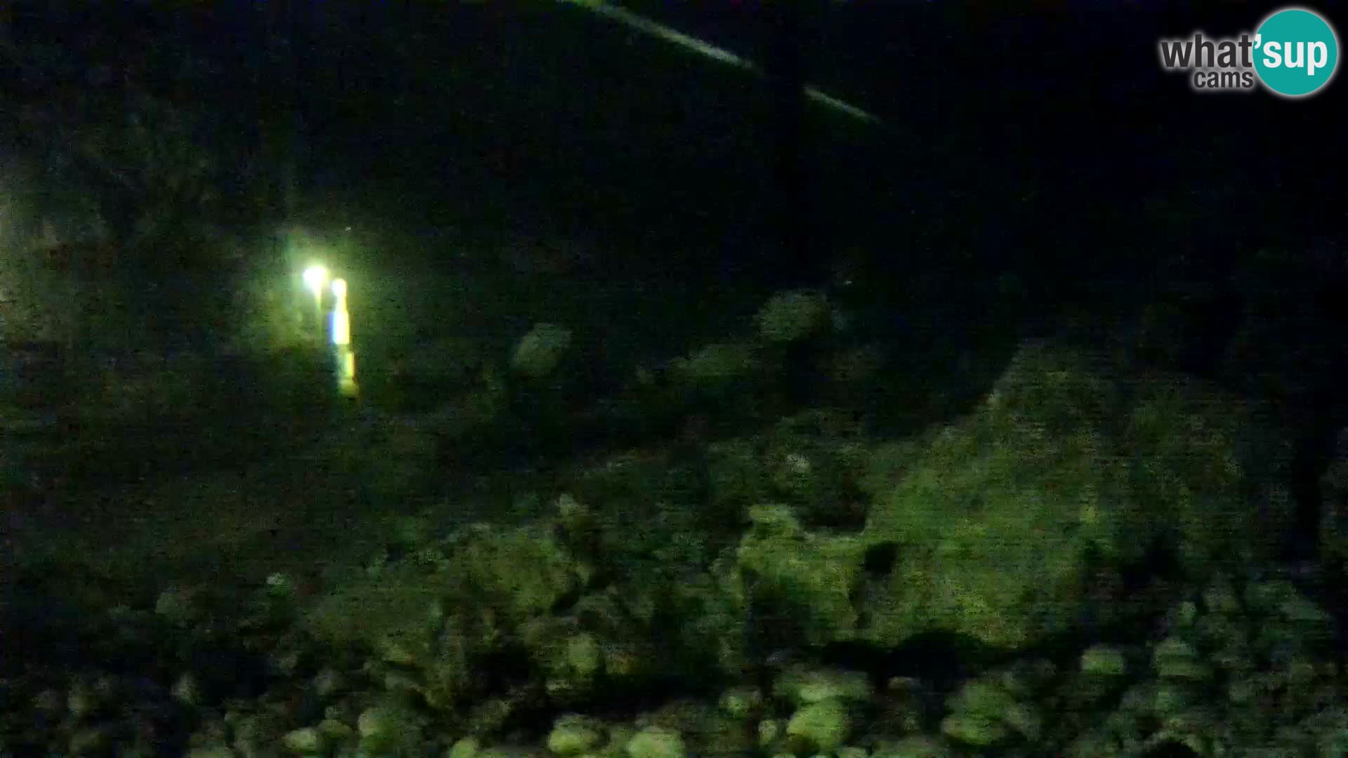 Aquario marino esterno –  Rogoznica livecam Croazia
