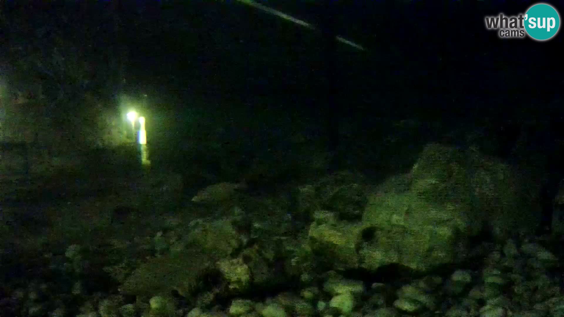 Outdoor Marine Aquarium Rogoznica webcam Croatia
