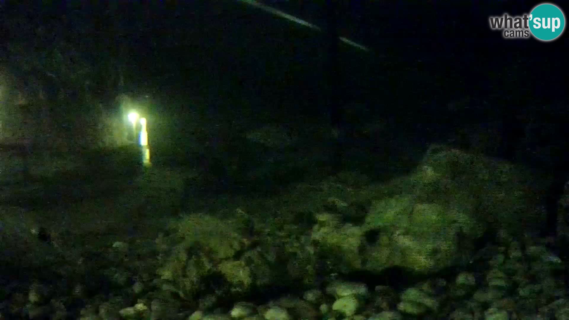 Aquario marino esterno –  Rogoznica livecam Croazia