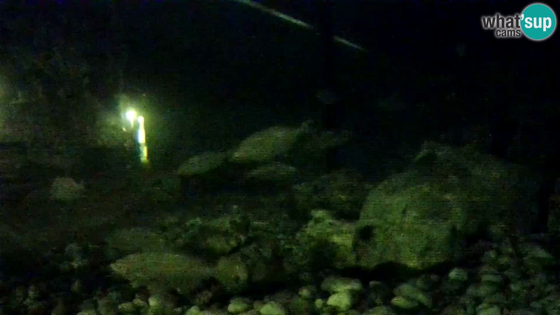 Aquario marino esterno –  Rogoznica livecam Croazia