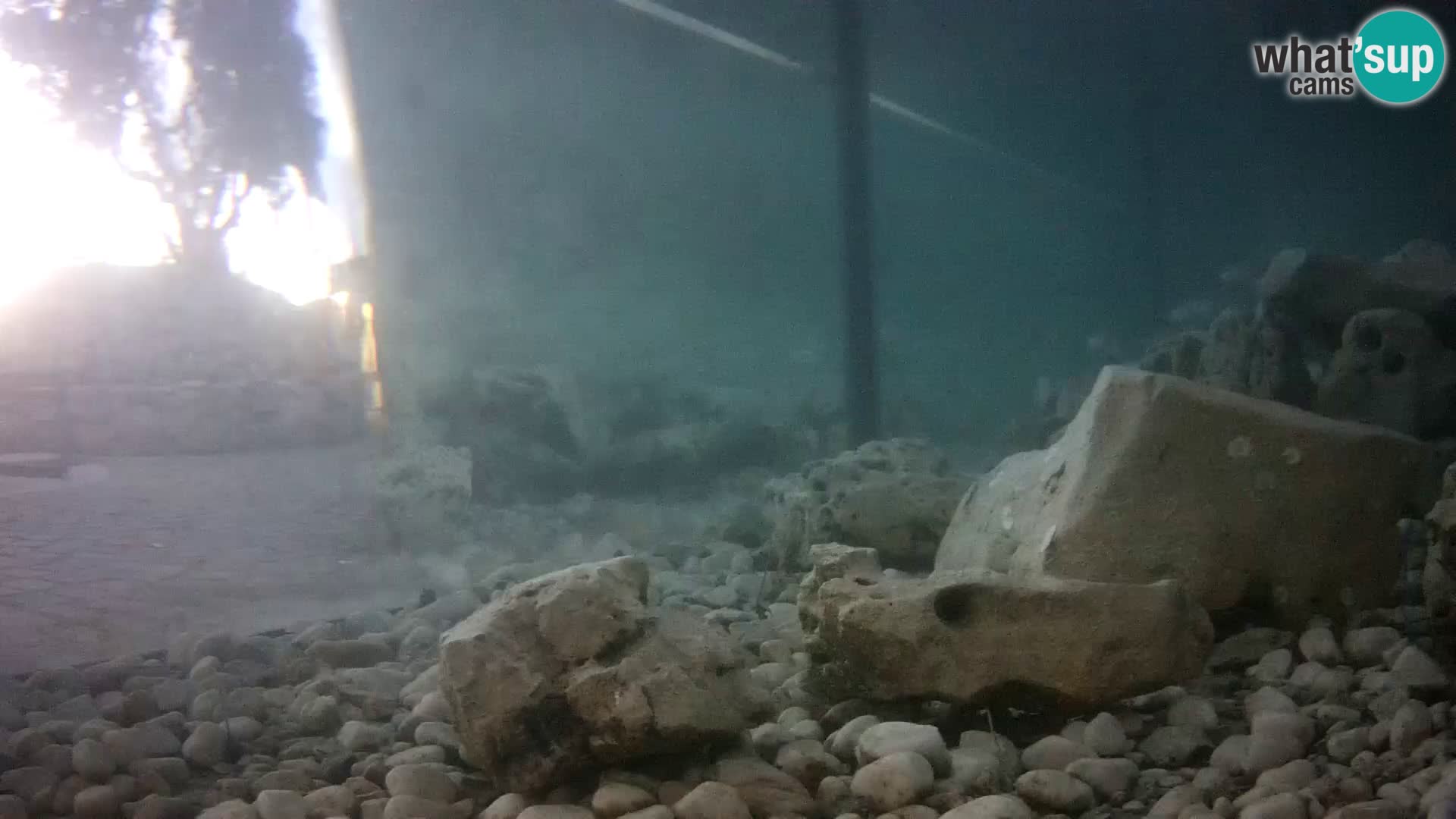 Marine Aquarium im Freien Rogoznica webcam Kroatien