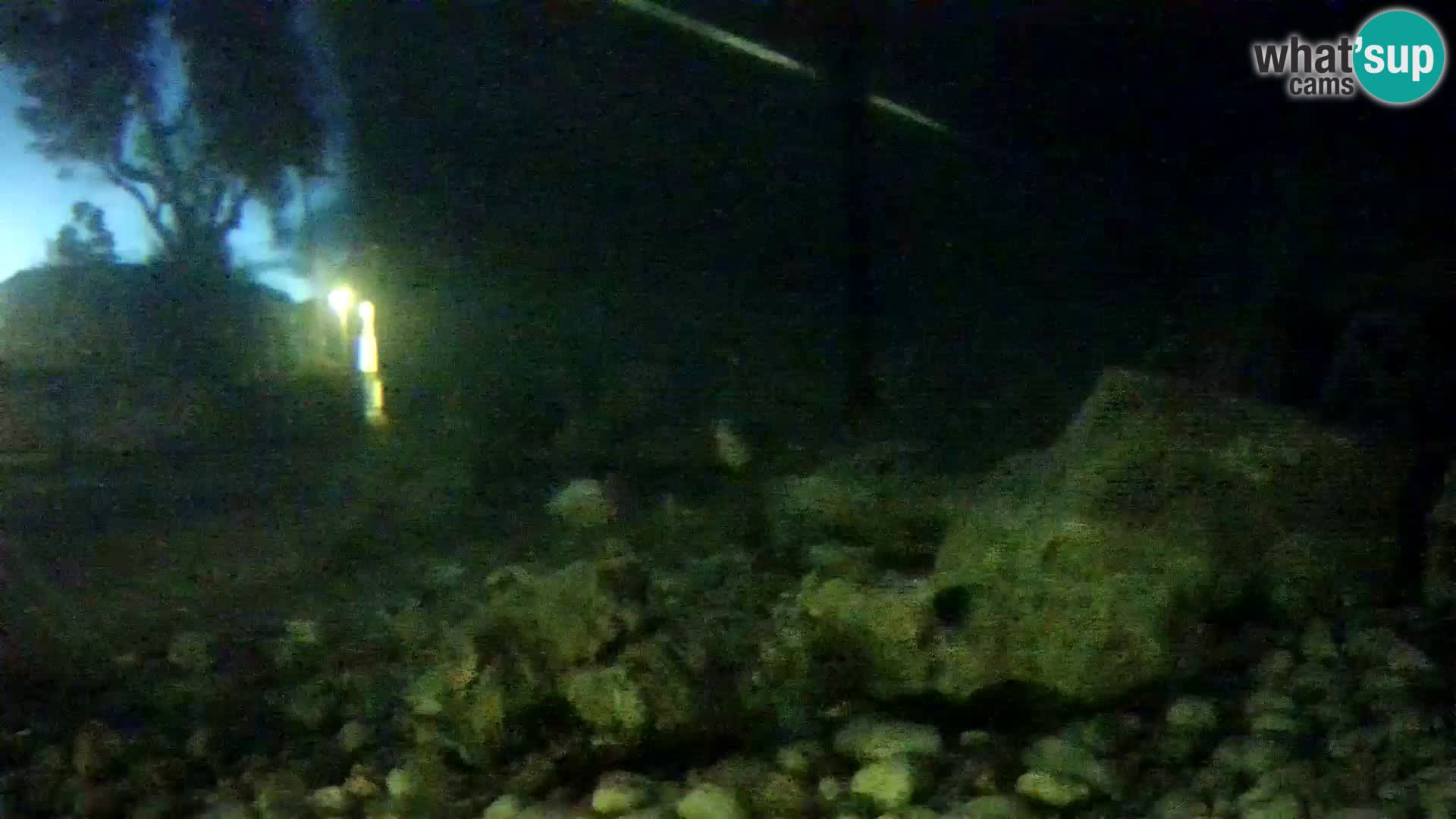 Webcam de l’aquarium marin extérieur de Rogoznica Croatie